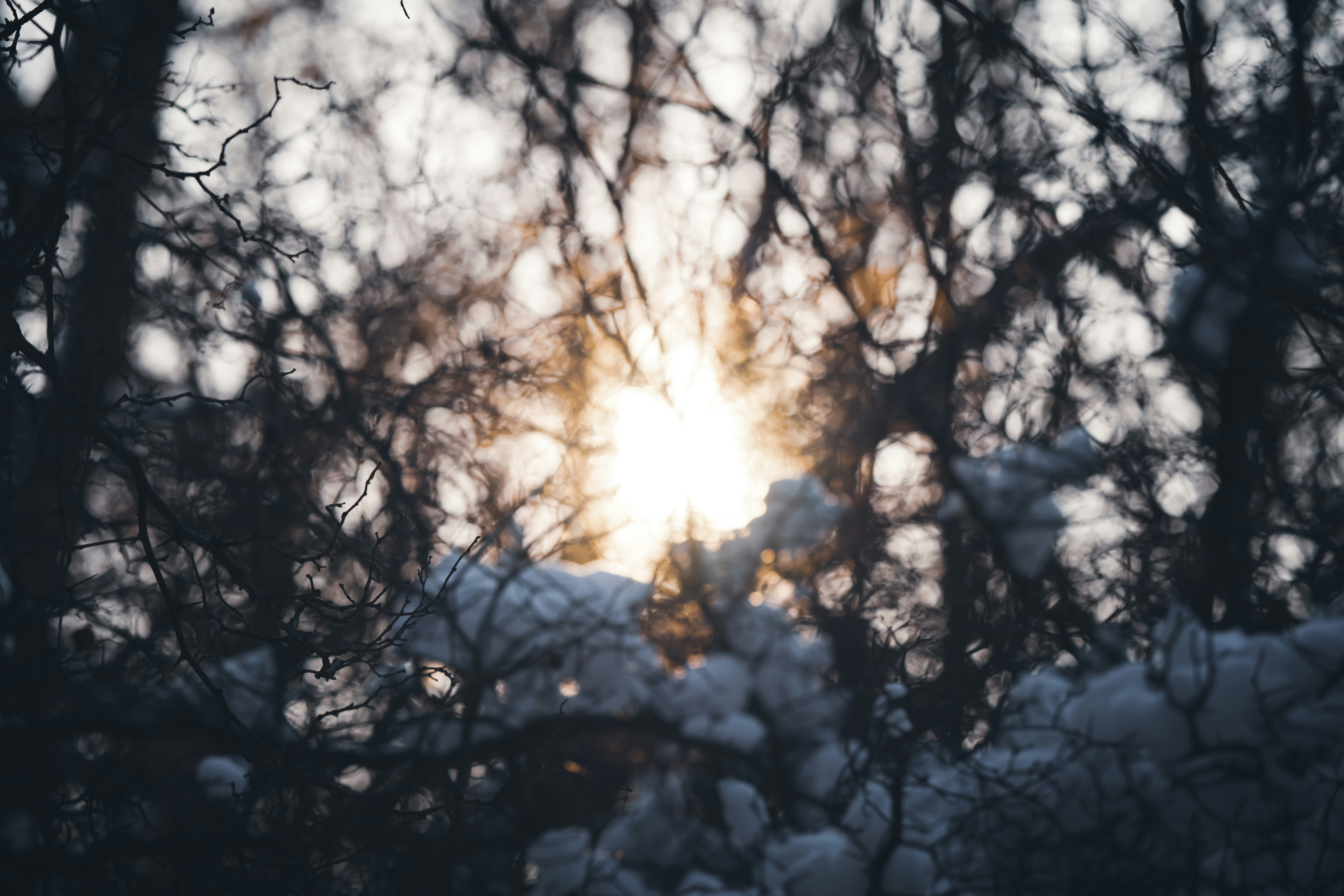 Photo by andreystrizhkov