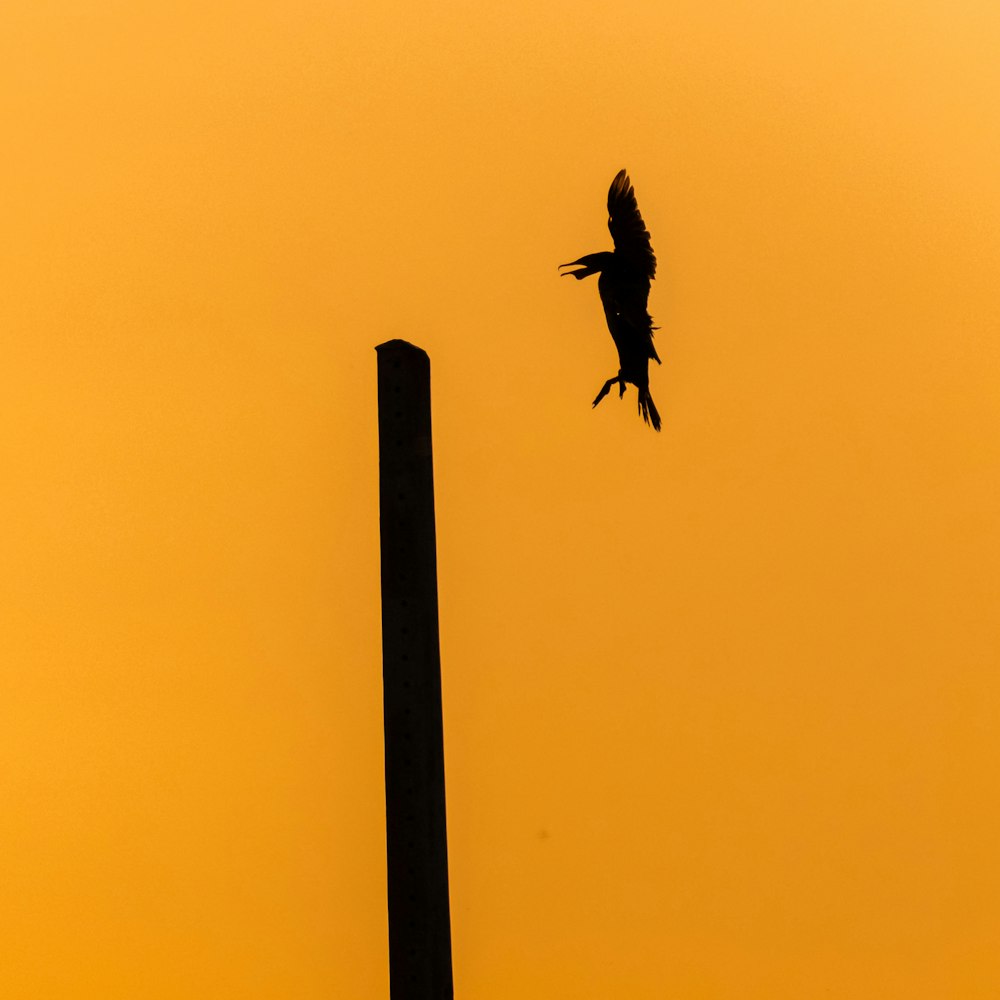 a bird flying over a tall wooden pole