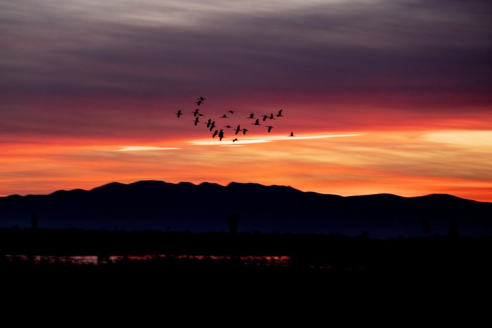 a flock of birds flying over a mountain at sunset
