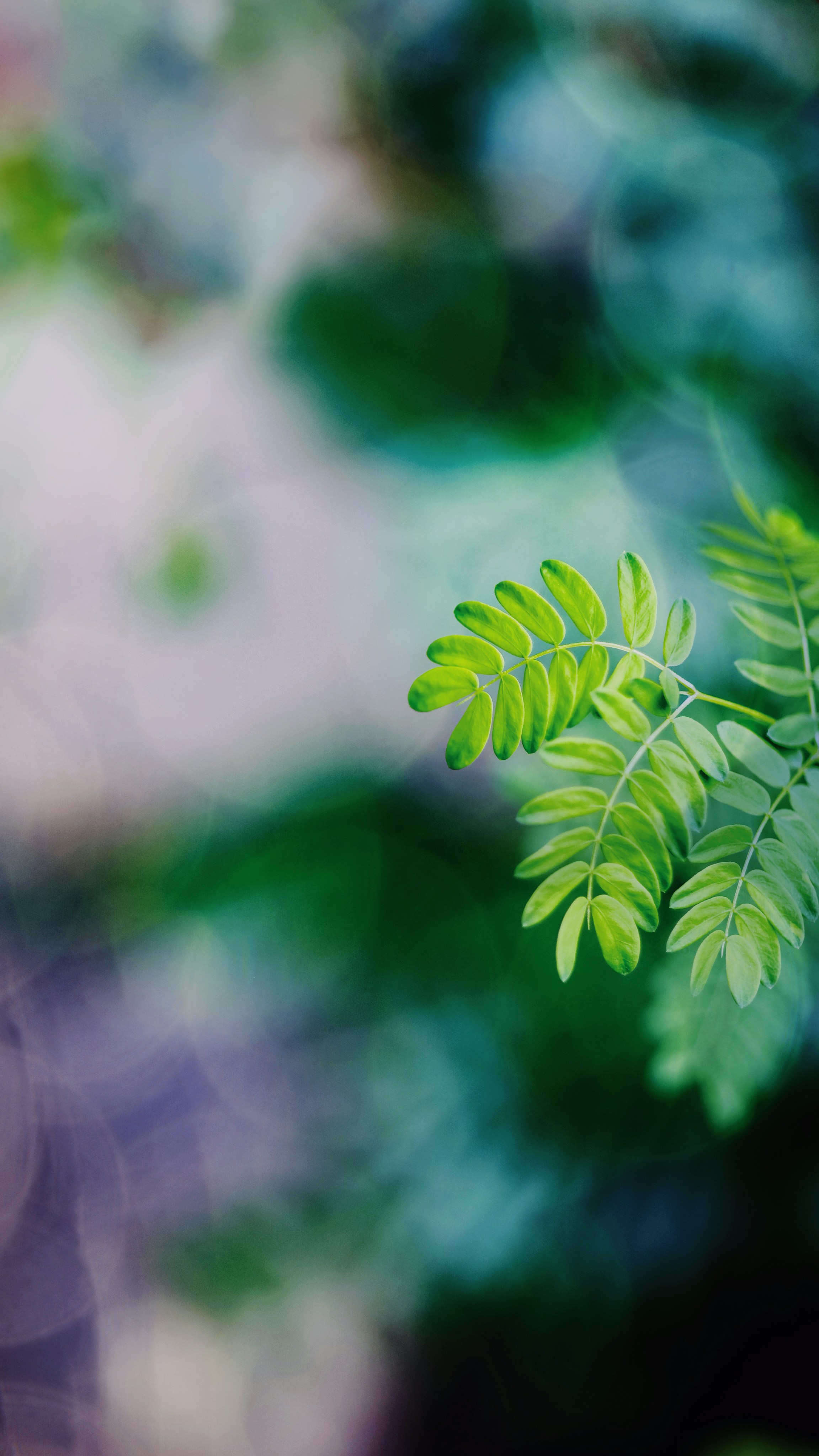 Photo by dickenslin76