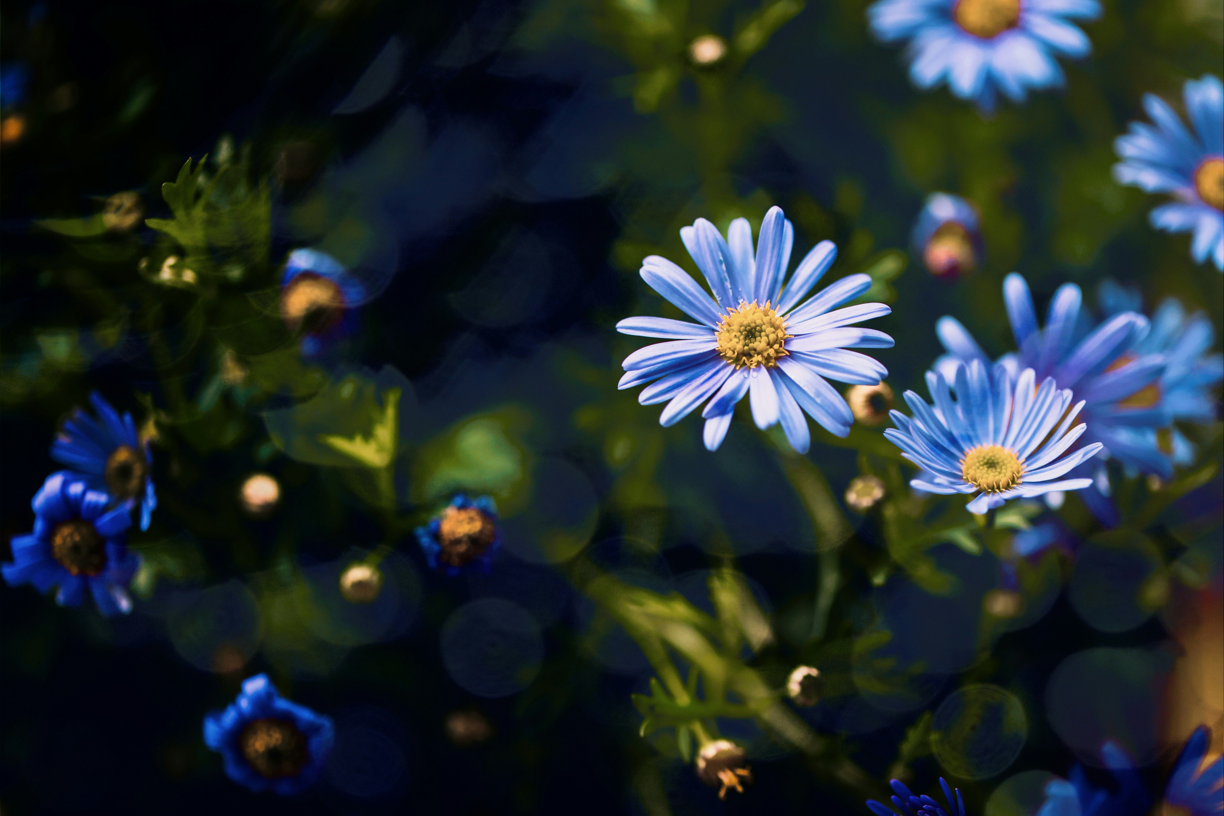 Photo by dickenslin76