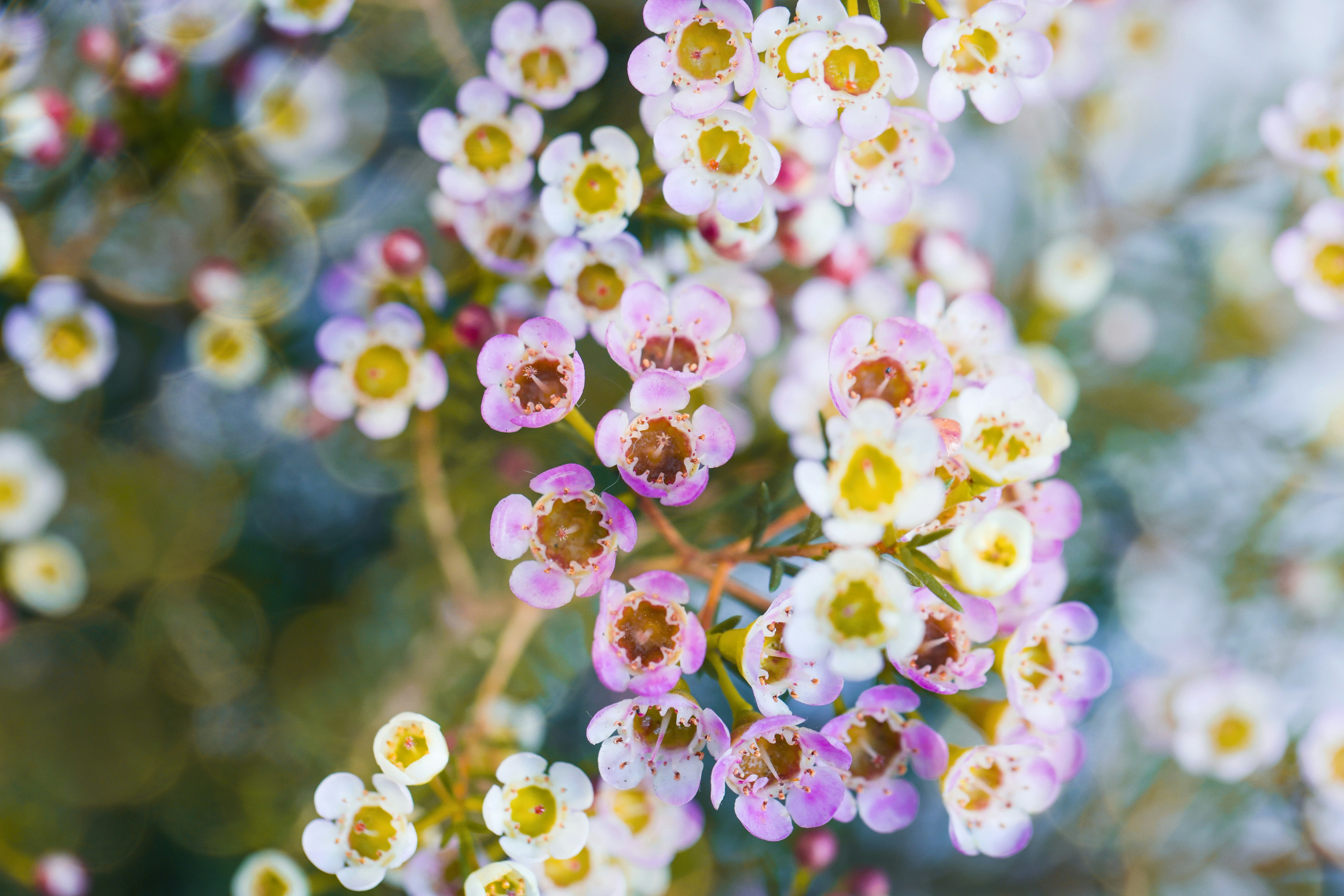 Photo by dickenslin76