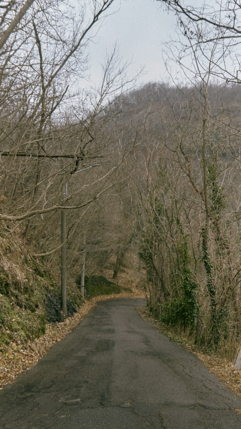 un segnale di stop seduto sul ciglio di una strada