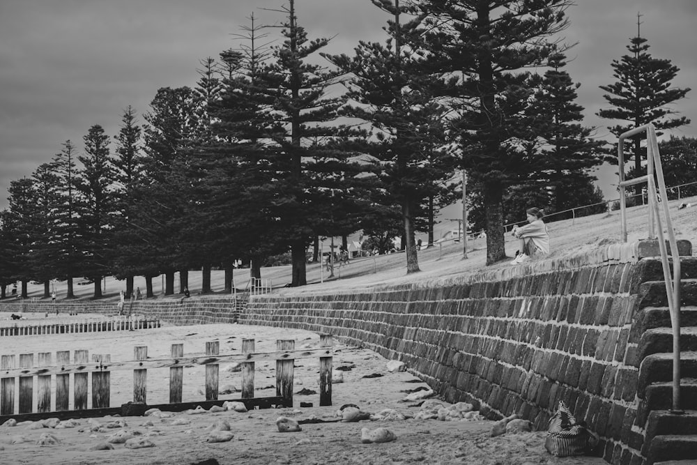 Una foto en blanco y negro de una pared y árboles