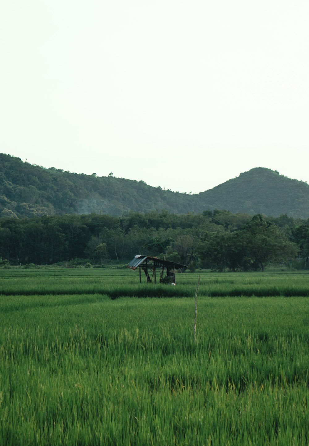 a green field with a small structure in the middle of it