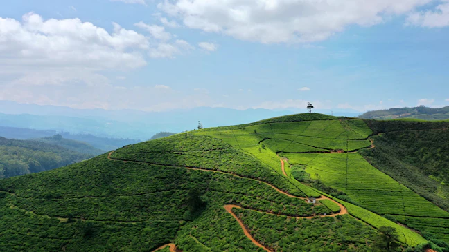3-Day Luxury Nuwara Eliya Itinerary | Premium Sri Lanka Guide