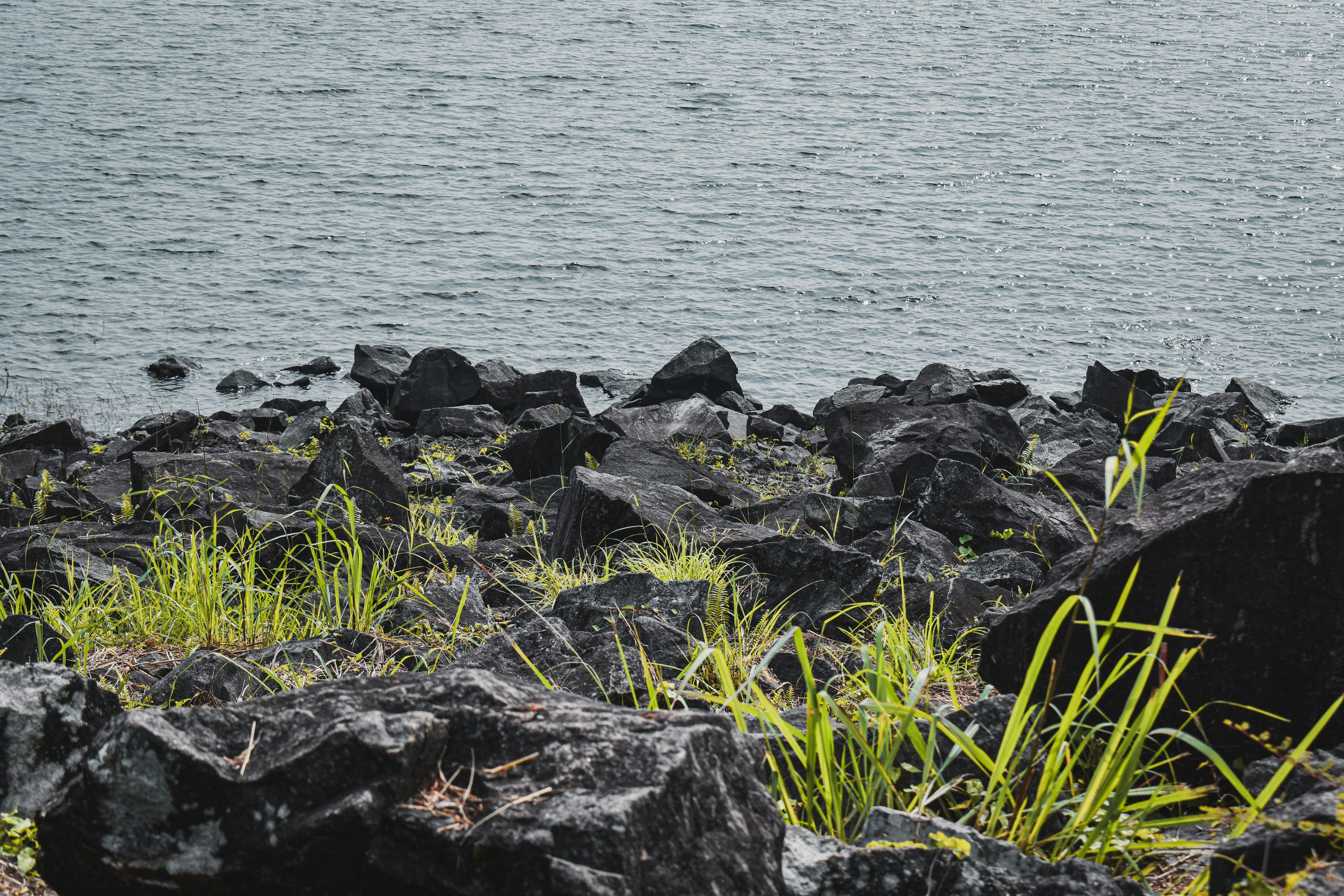 Photo by valariyanviper