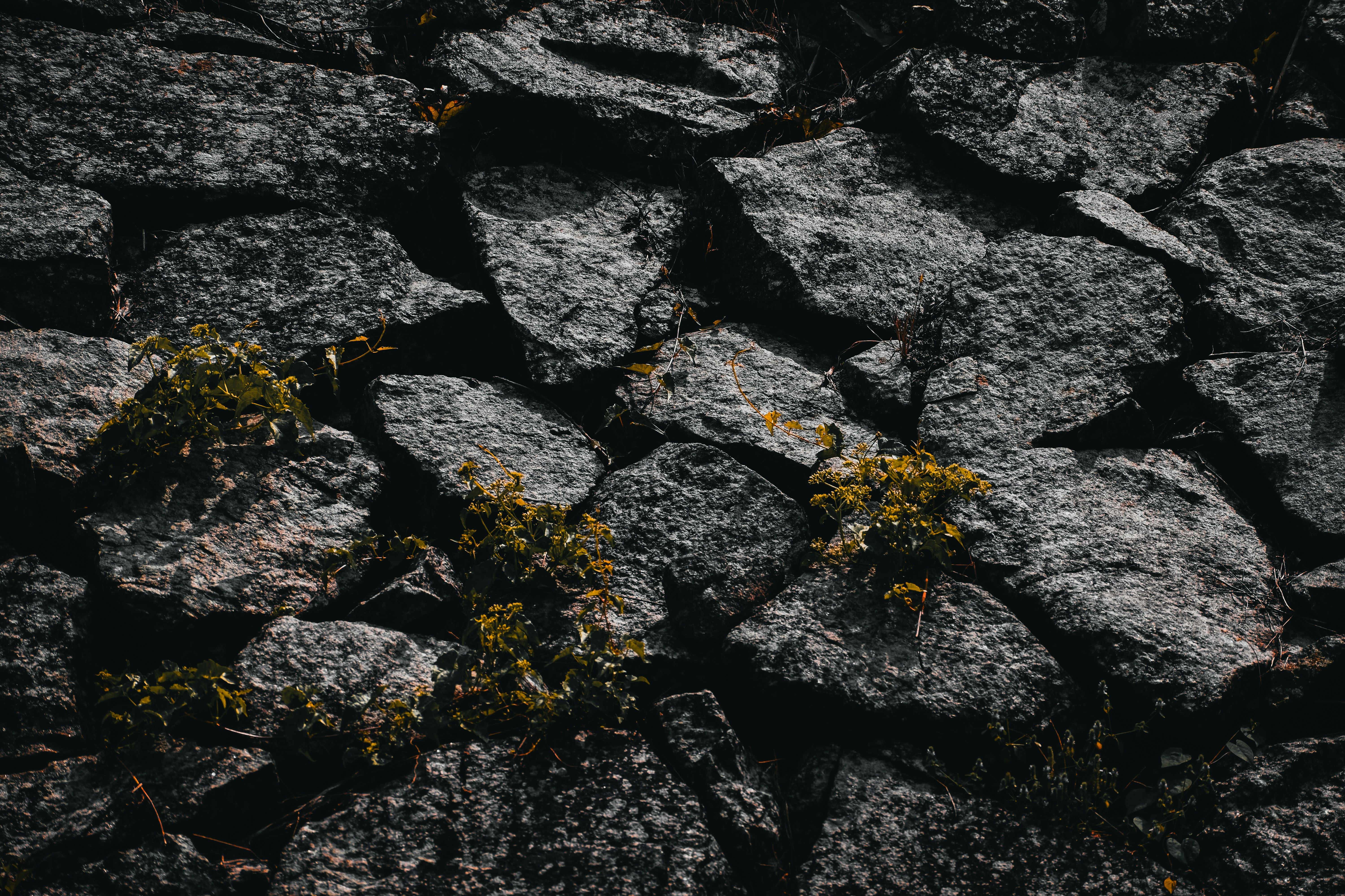 Photo by valariyanviper