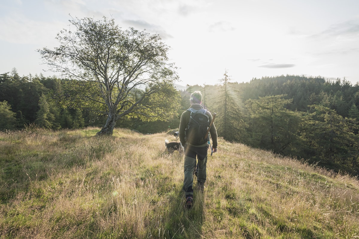 Person hiking with their dog in an open field