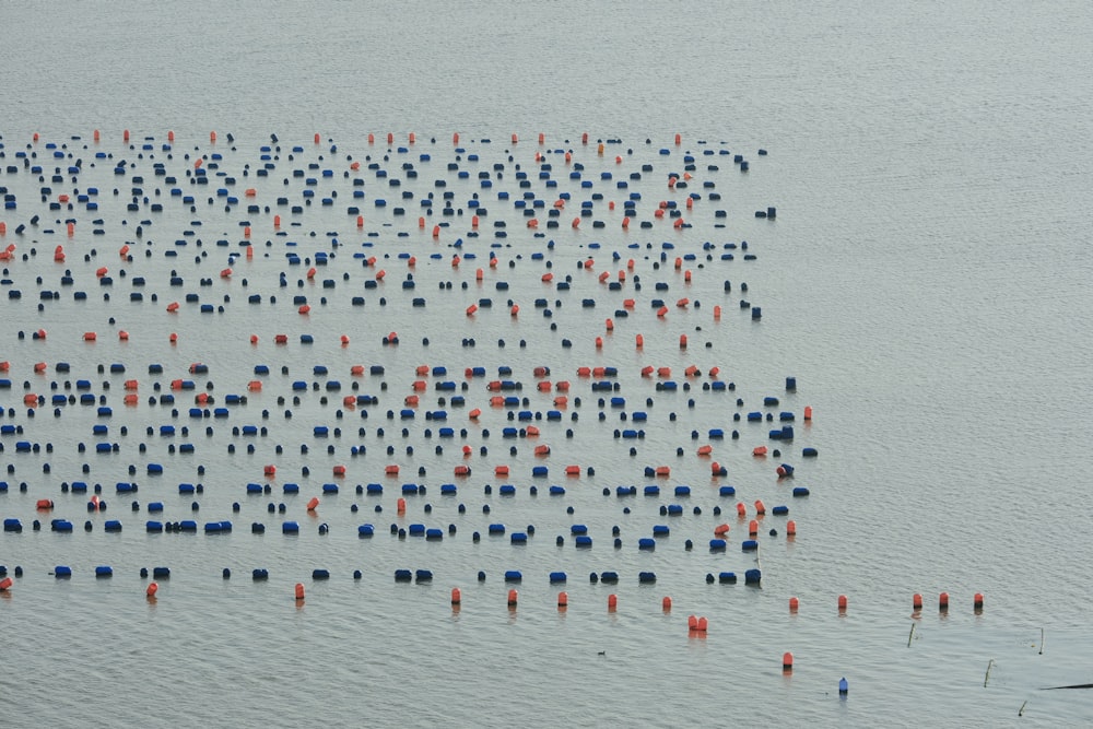 a large group of orange and blue buoys floating on top of a body of