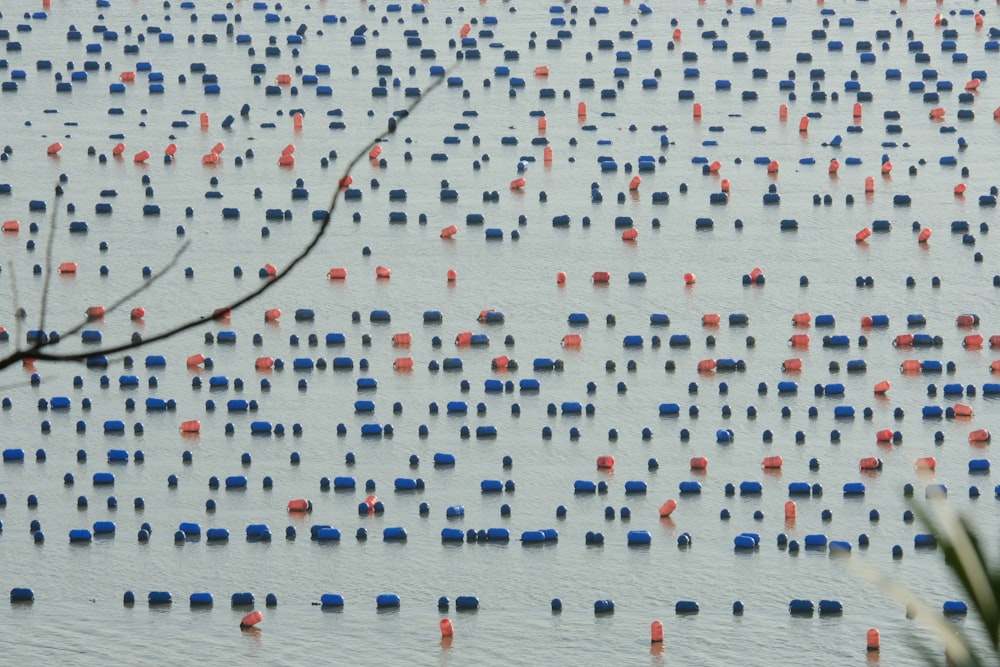 a large amount of orange and blue buoys floating in a body of water
