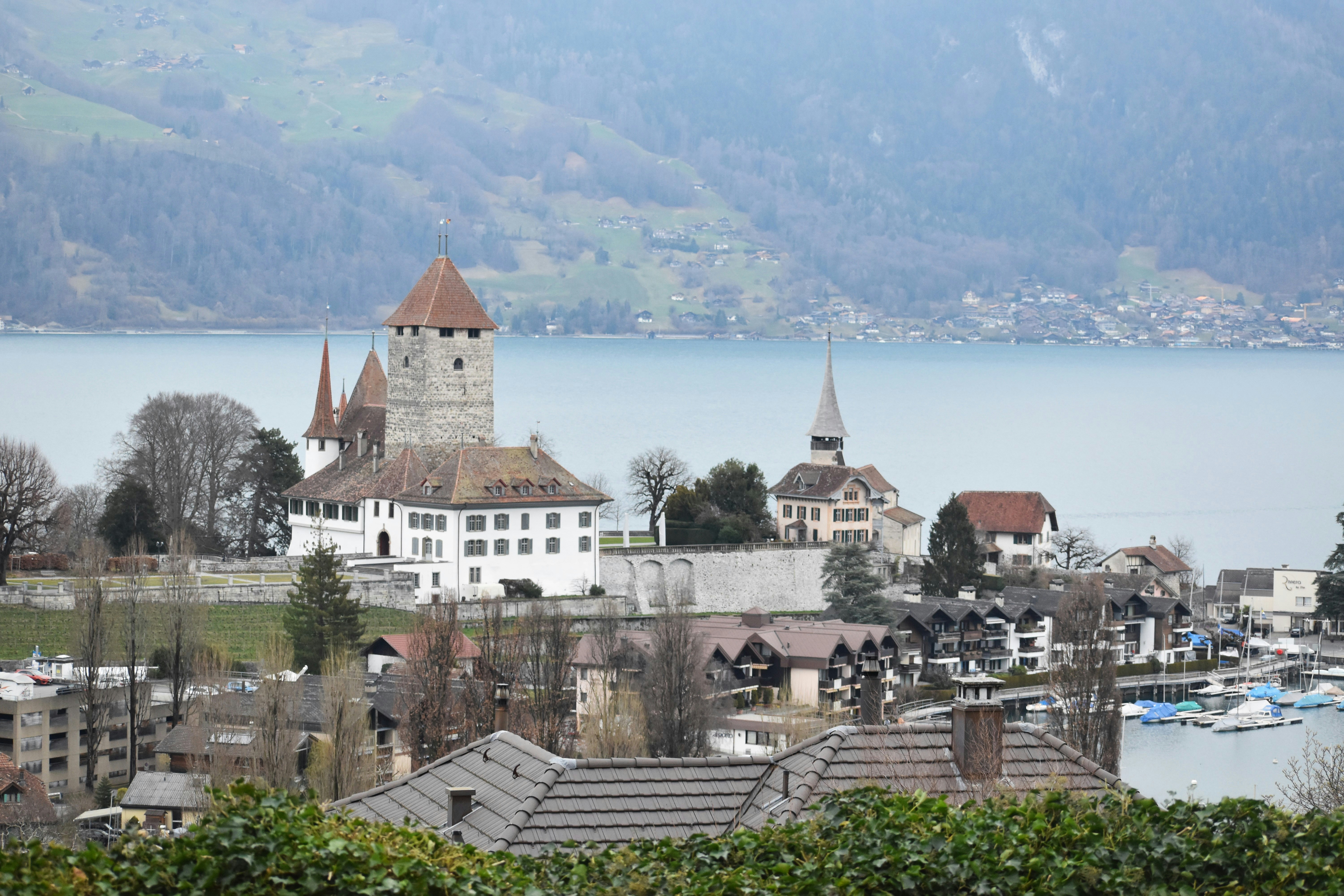 Photo by danielelarosa