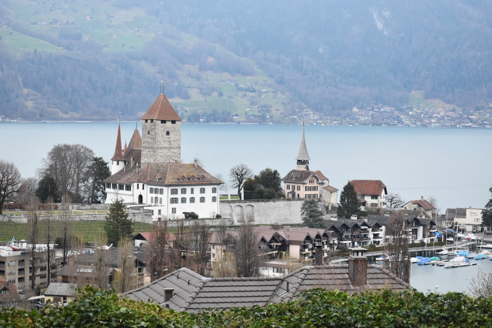 a view of a town with a lake and mountains in the background