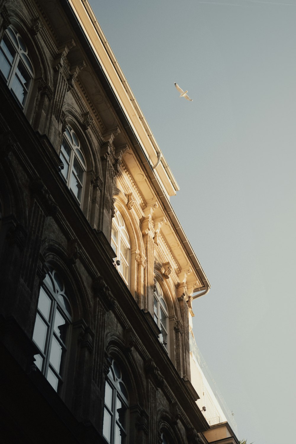 a plane flying over a building with windows