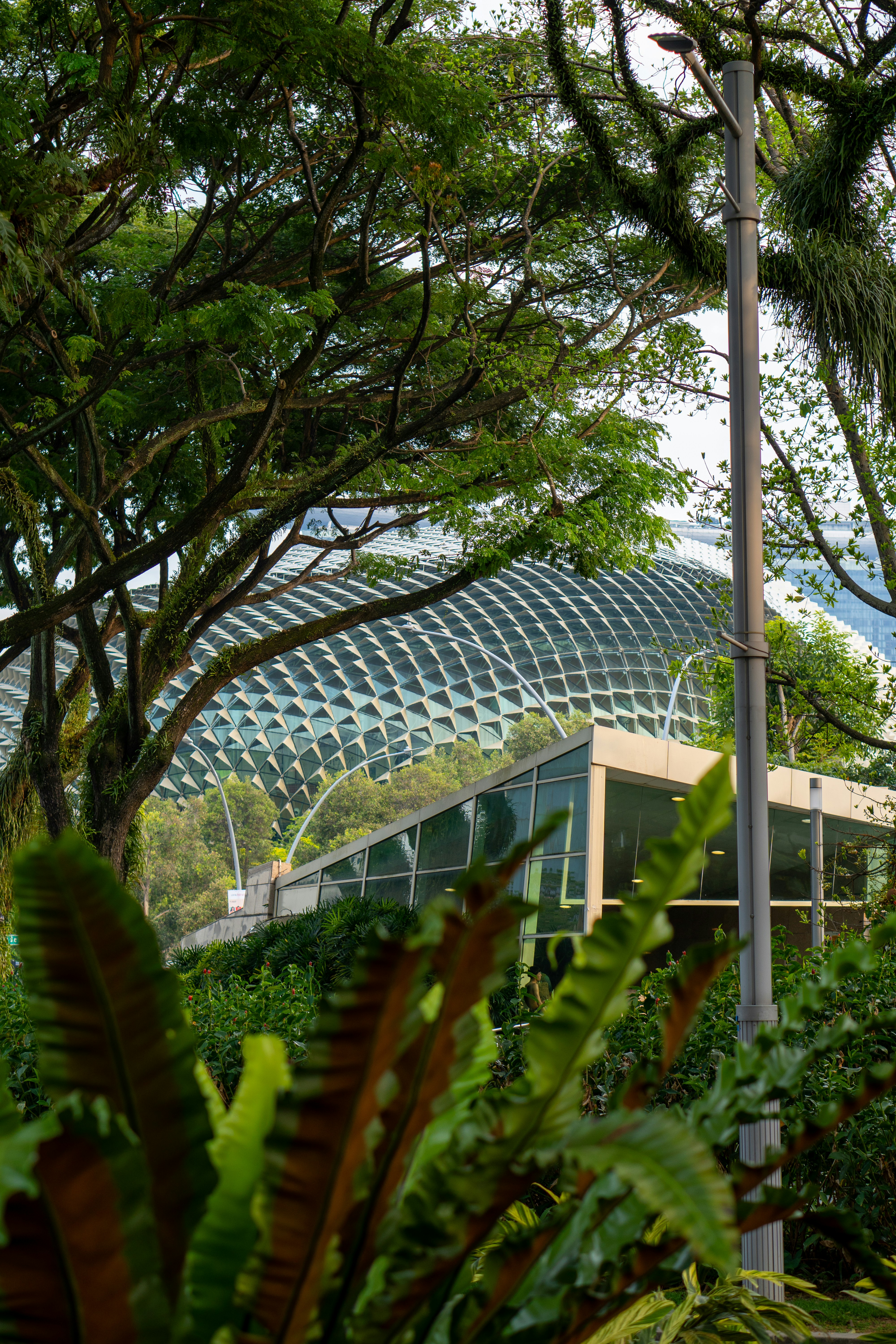 Photo by danilakropotkin