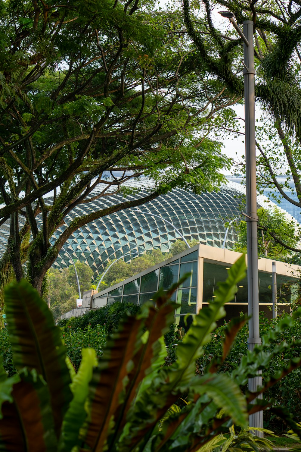 a green house surrounded by trees and plants