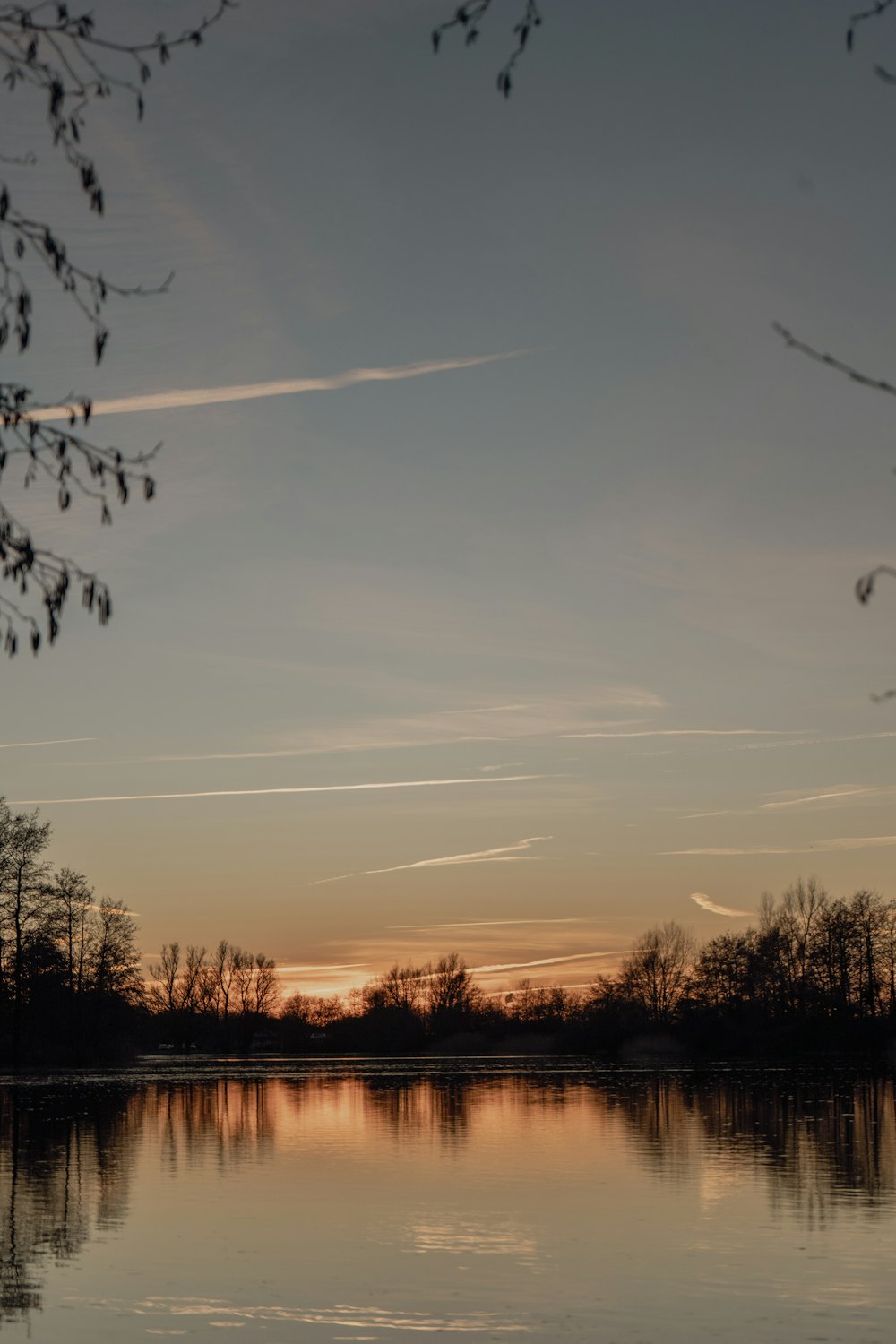 a body of water with trees in the background