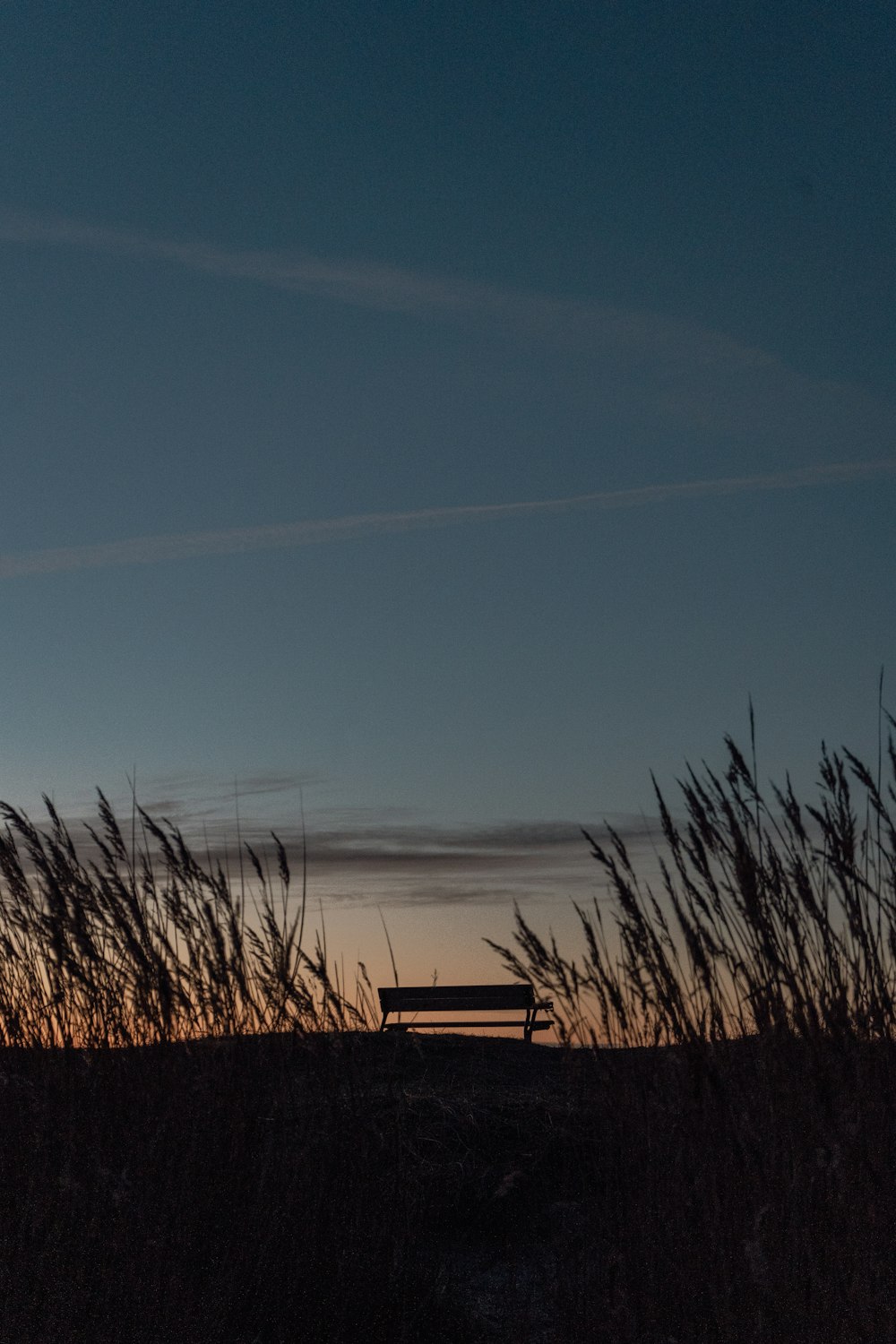 a bench sitting in the middle of a field