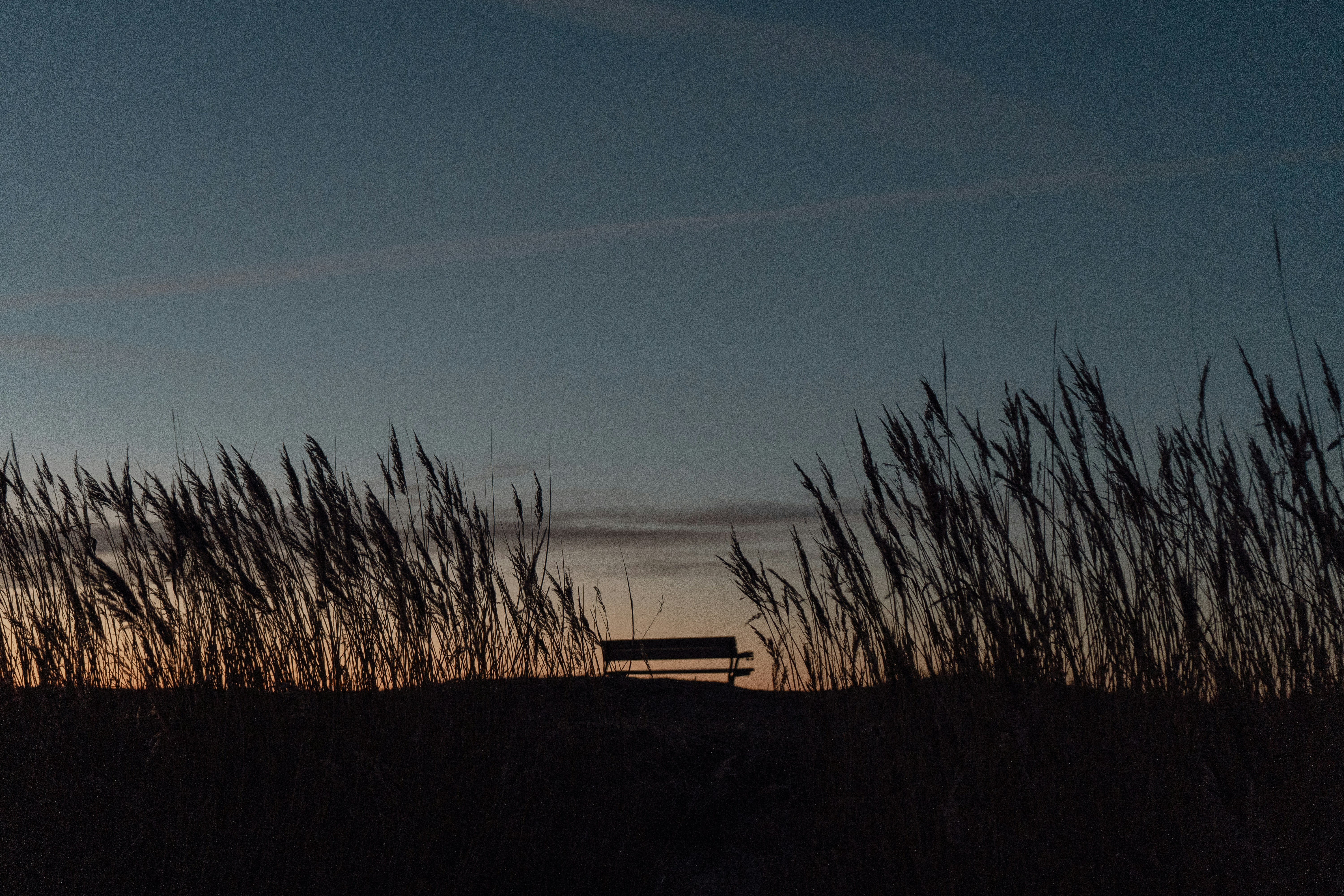 Photo by karthickgislen