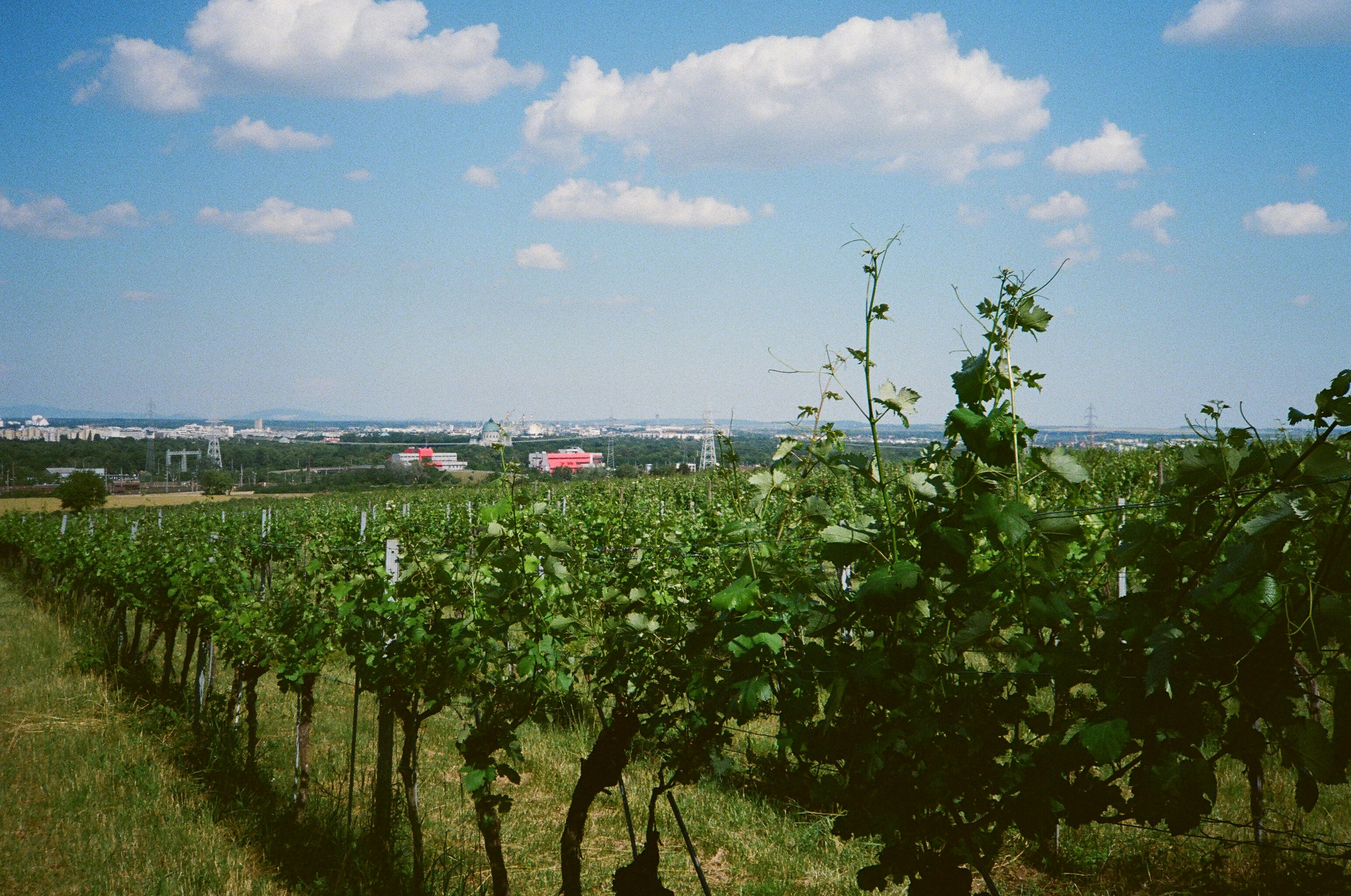 Photo by dominikferl