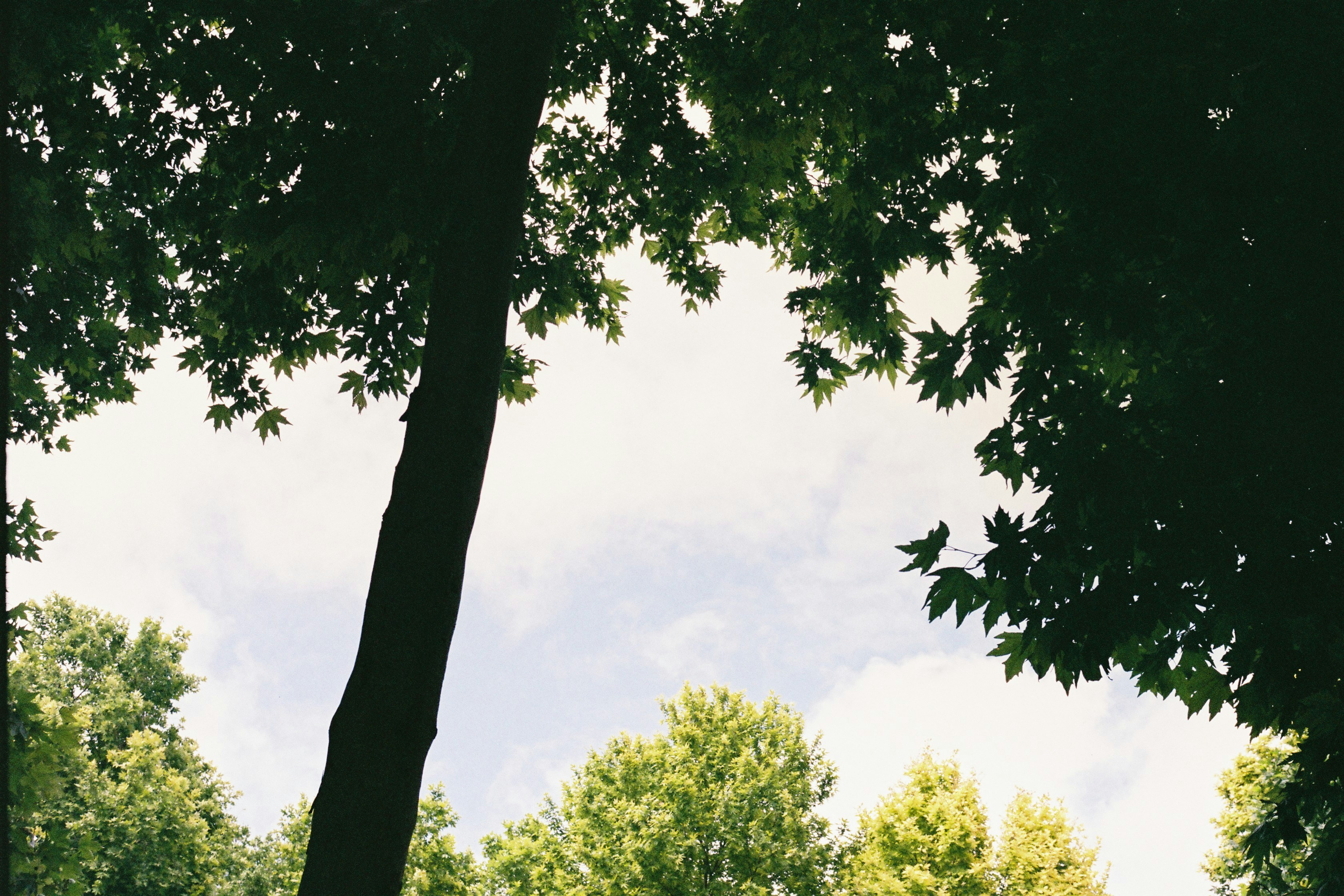 Photo by thesilvafocus