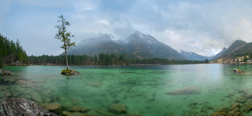 a body of water surrounded by mountains and trees