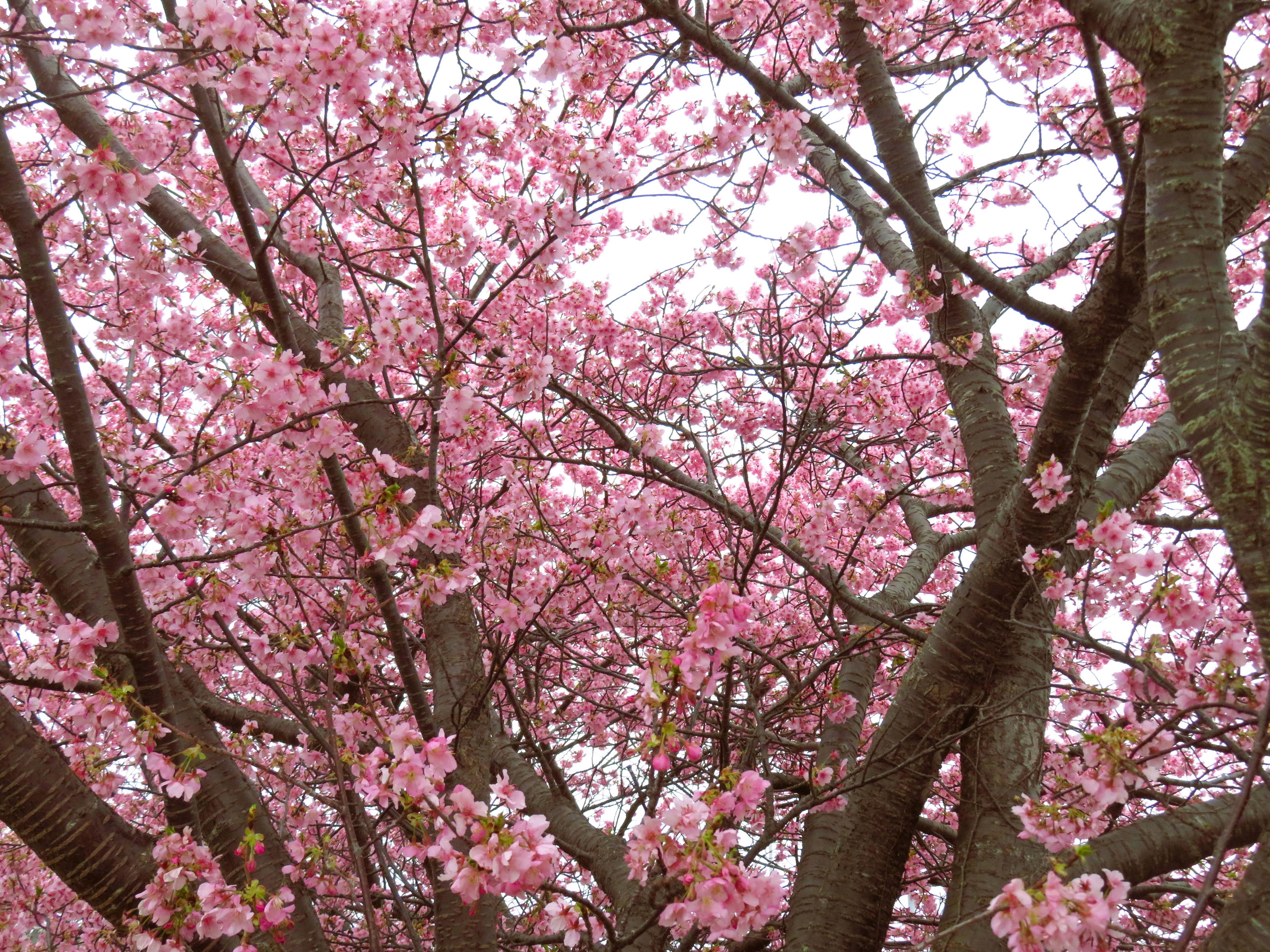 Photo by nolla_photos