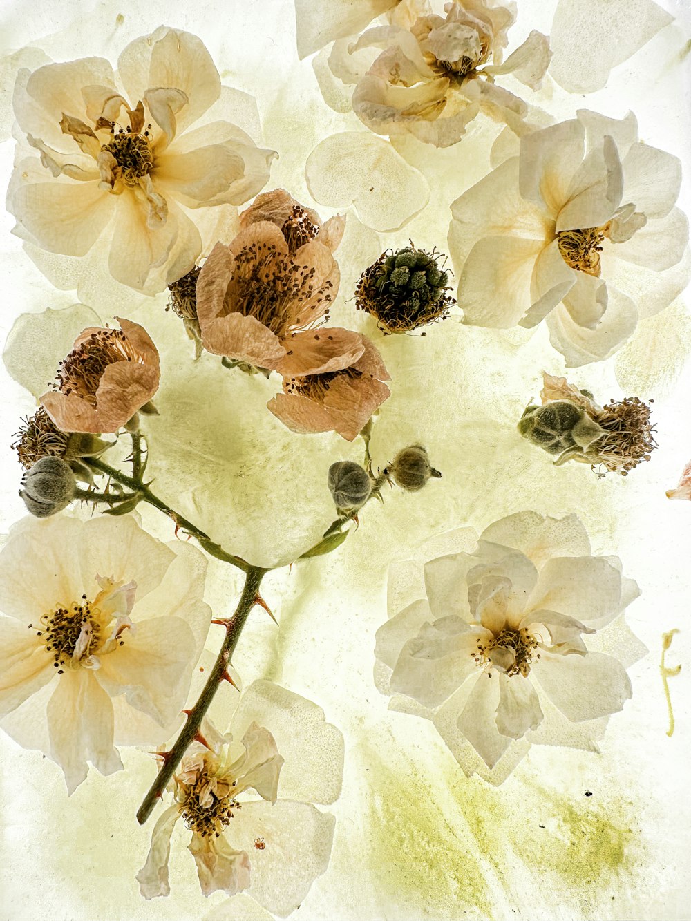 a bunch of flowers that are on a table