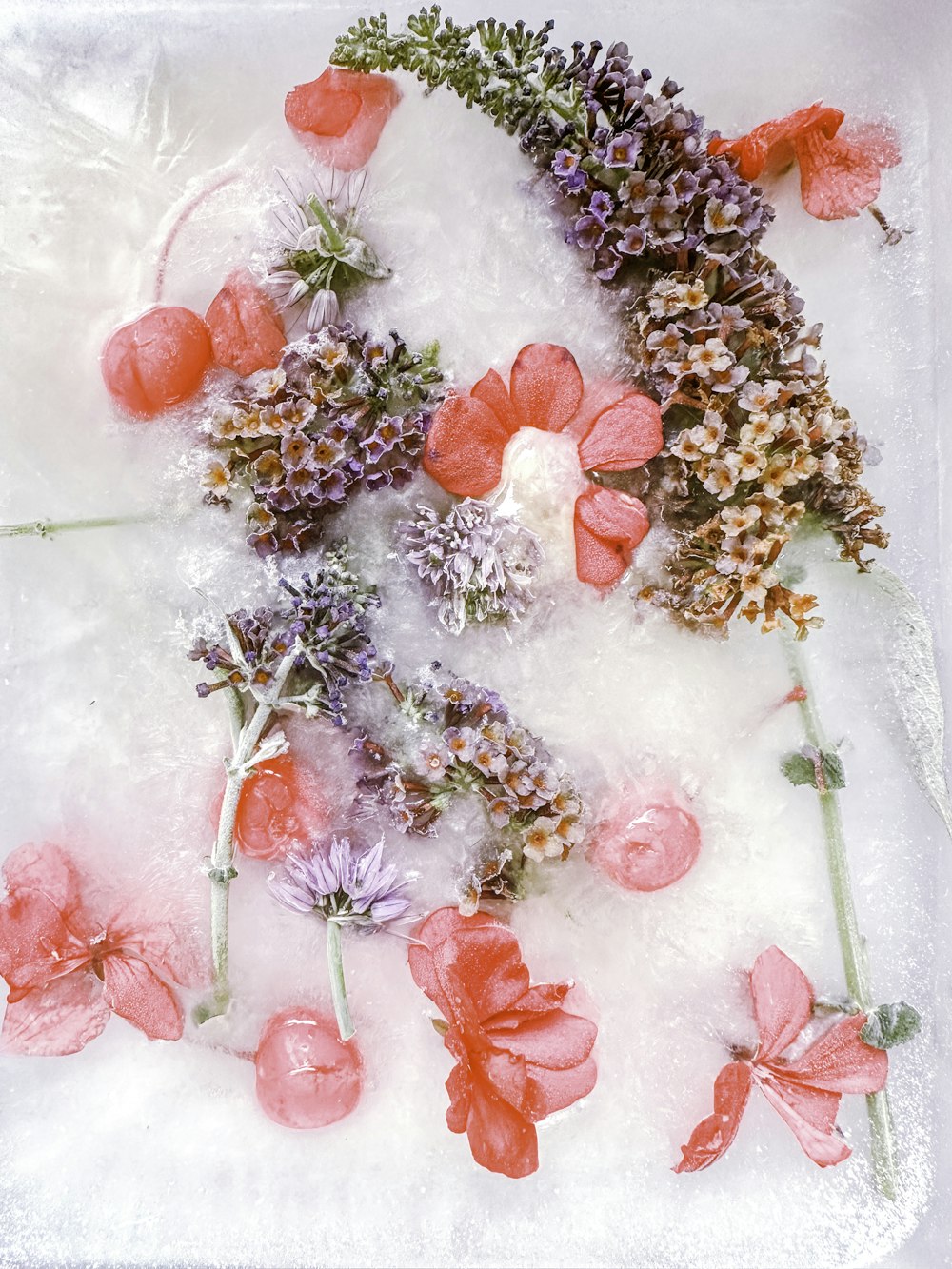 a bunch of flowers that are on some ice