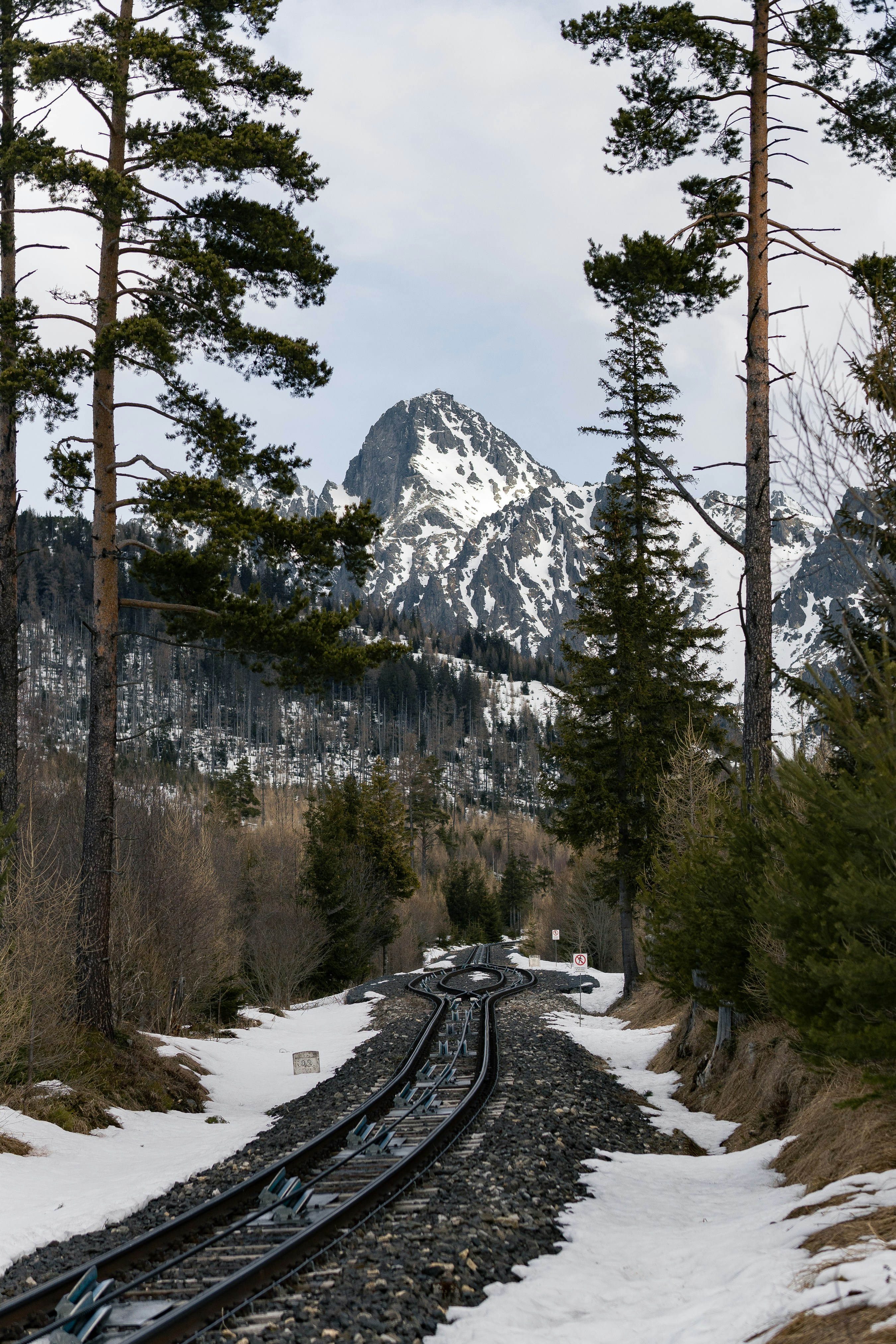 Snow-capped Swiss Alps with mountain railway winding through dramatic white peaks and pine forests