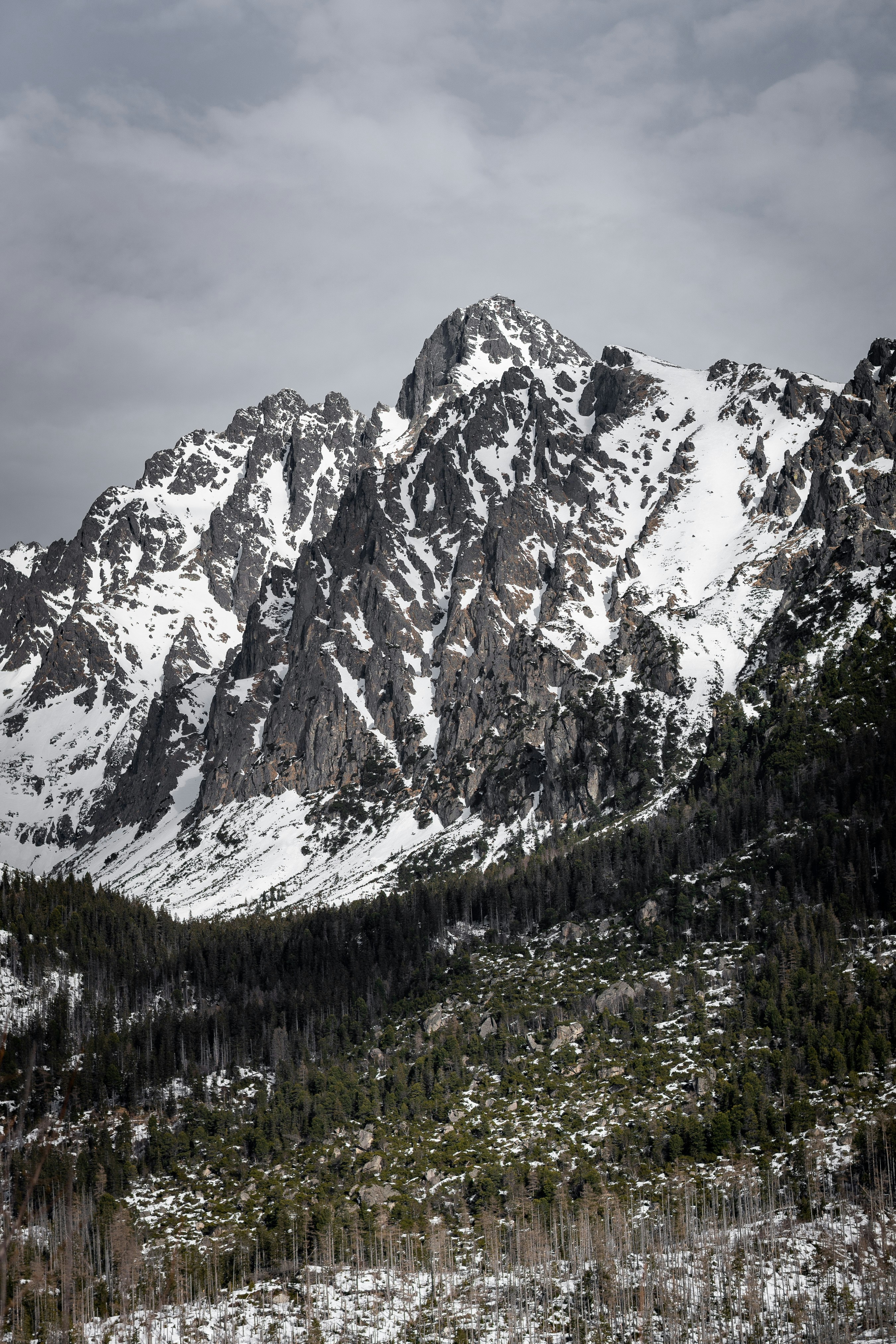 Photo by bsideofthelens