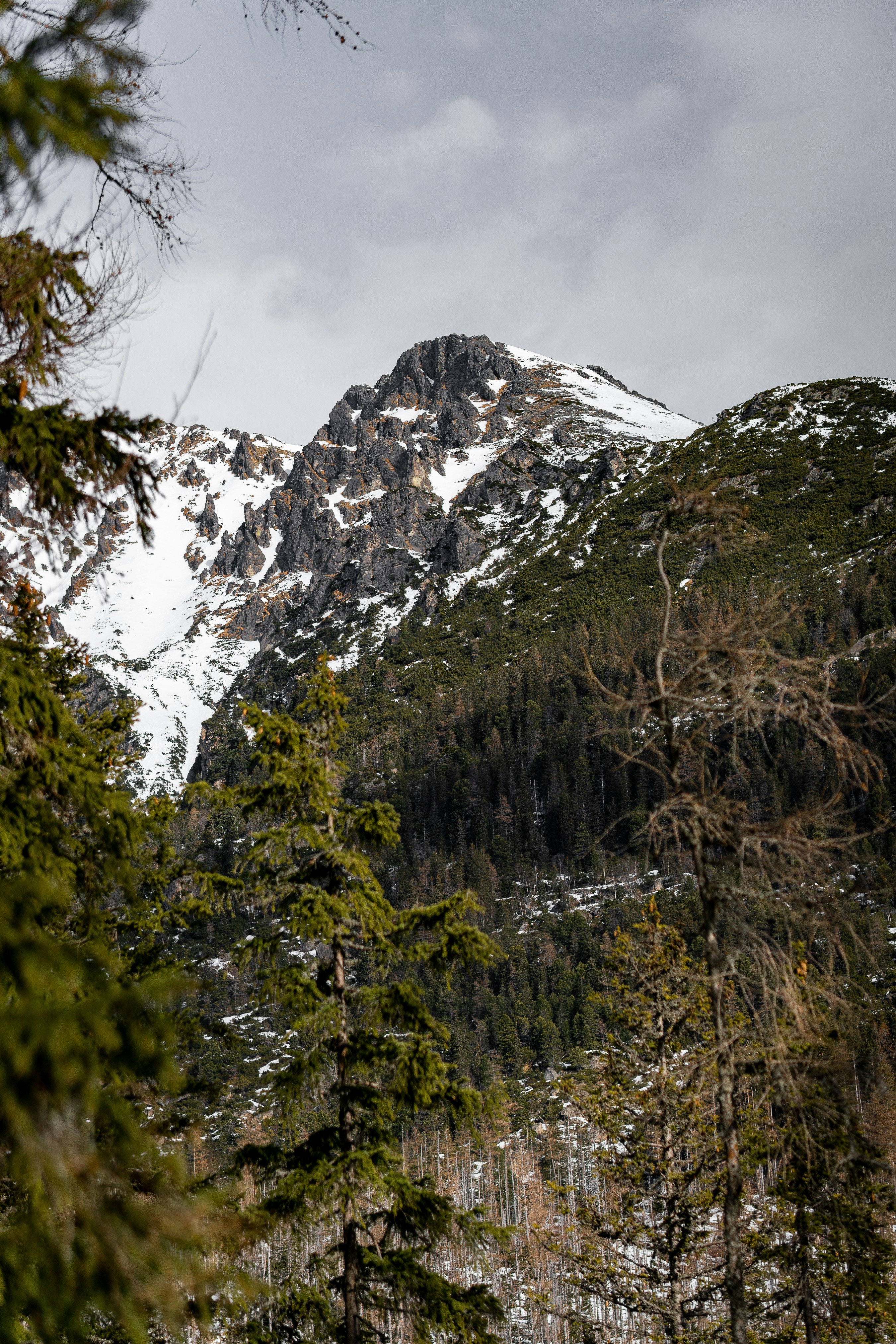 Photo by bsideofthelens