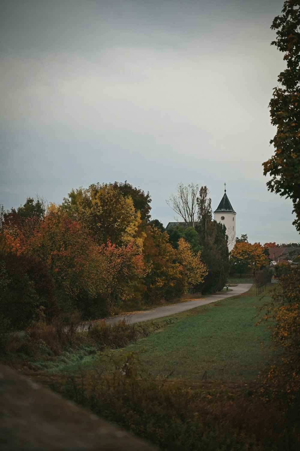 a white church with a steeple surrounded by trees