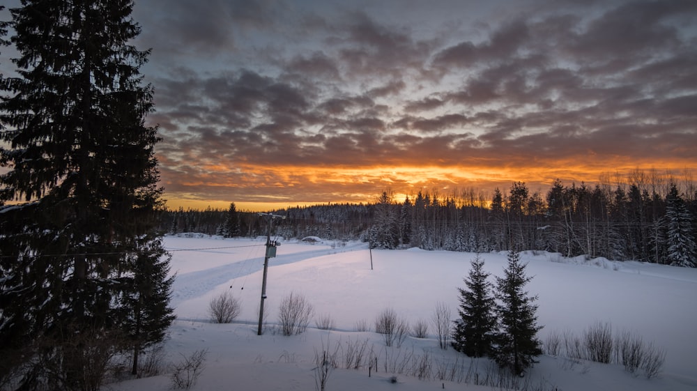 the sun is setting over a snowy field