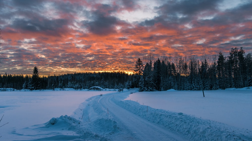 a sunset over a snow covered field with trees in the background