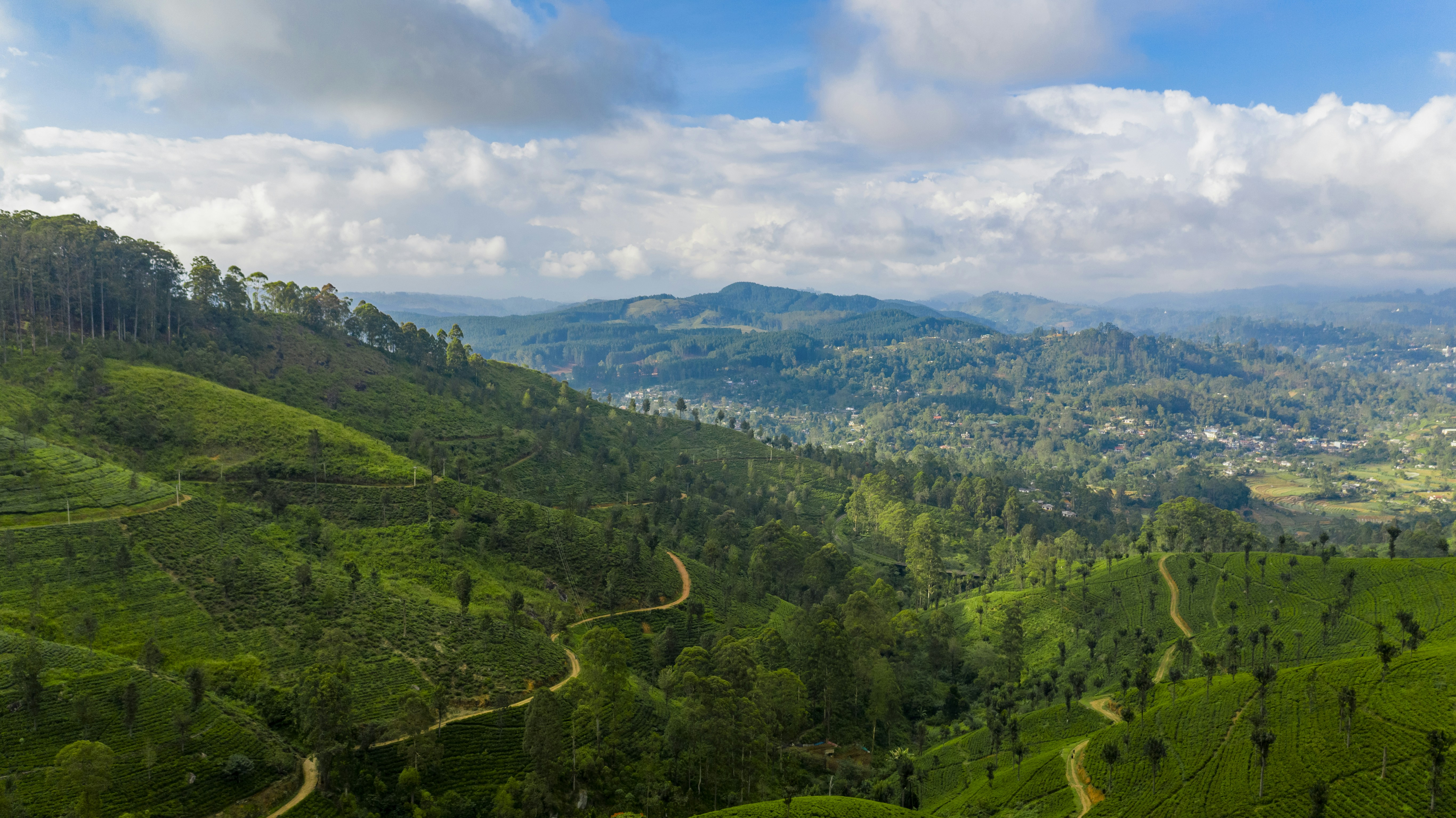 Tea plantations in central Sri Lanka