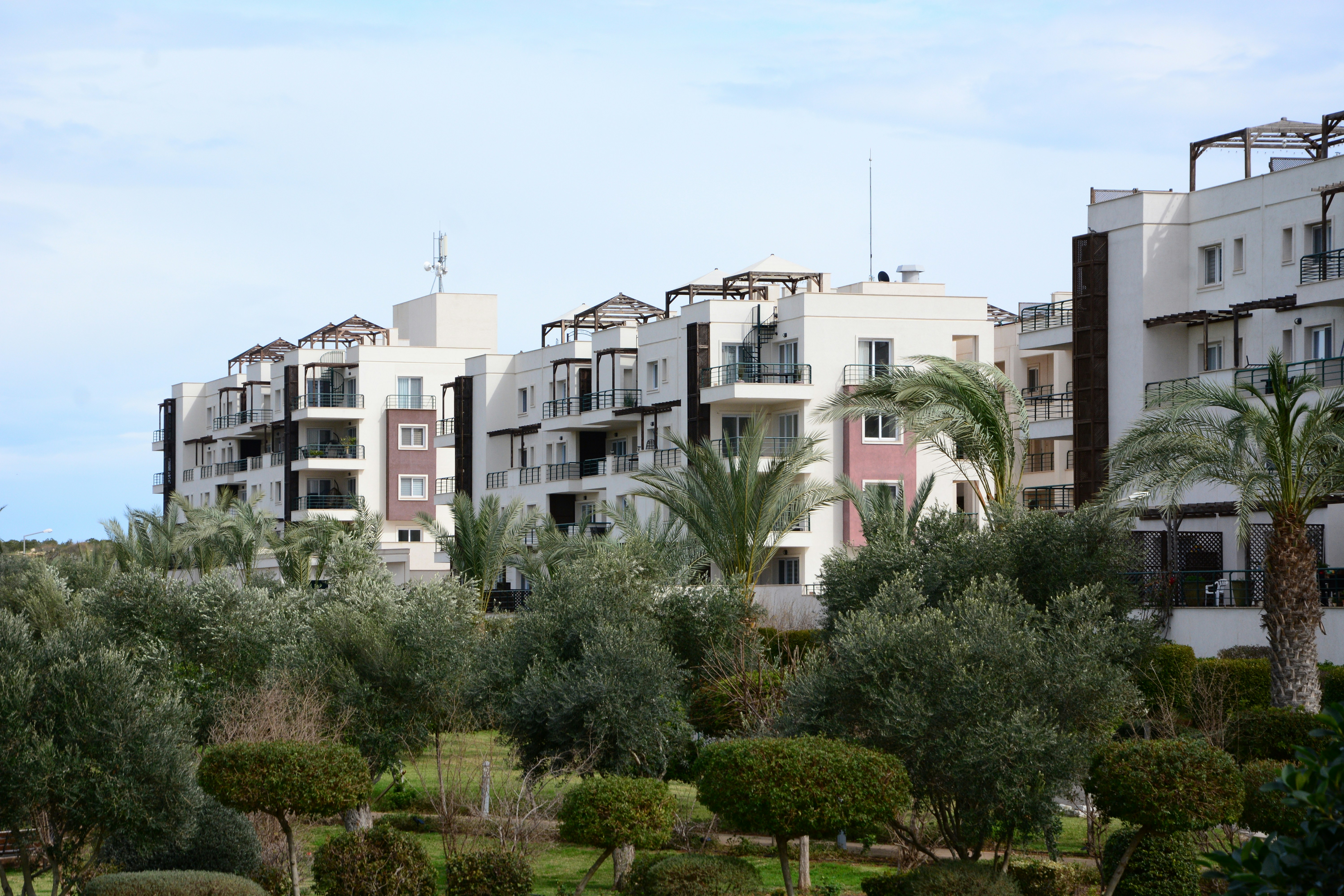 Photo by meisam_saeb