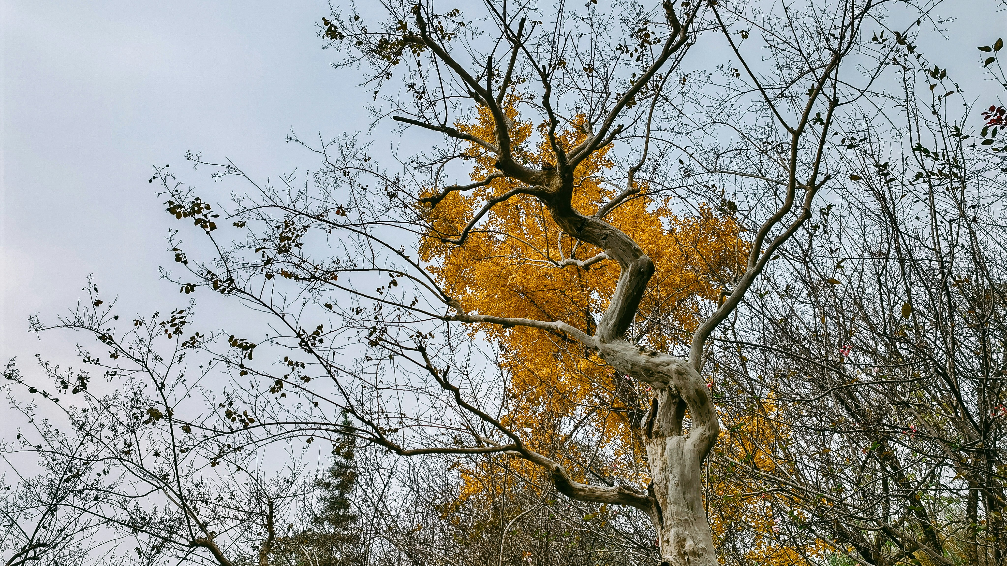 Photo by takeshi2