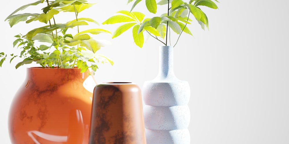 a group of three vases with plants in them