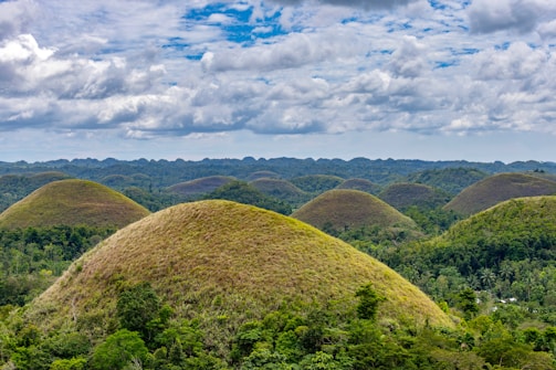 a group of large mounds in the middle of a forest