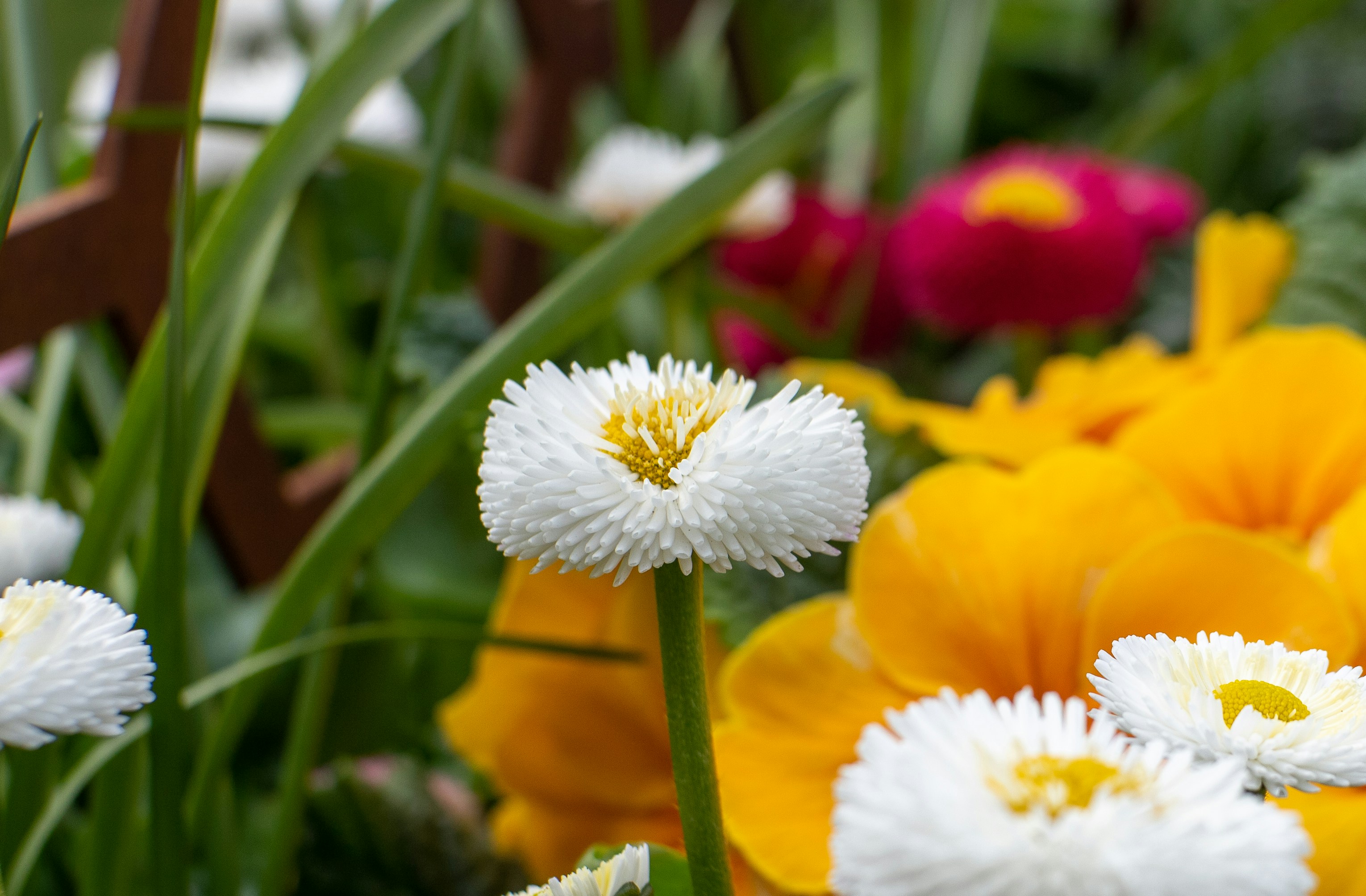 Photo by scottsalchemy