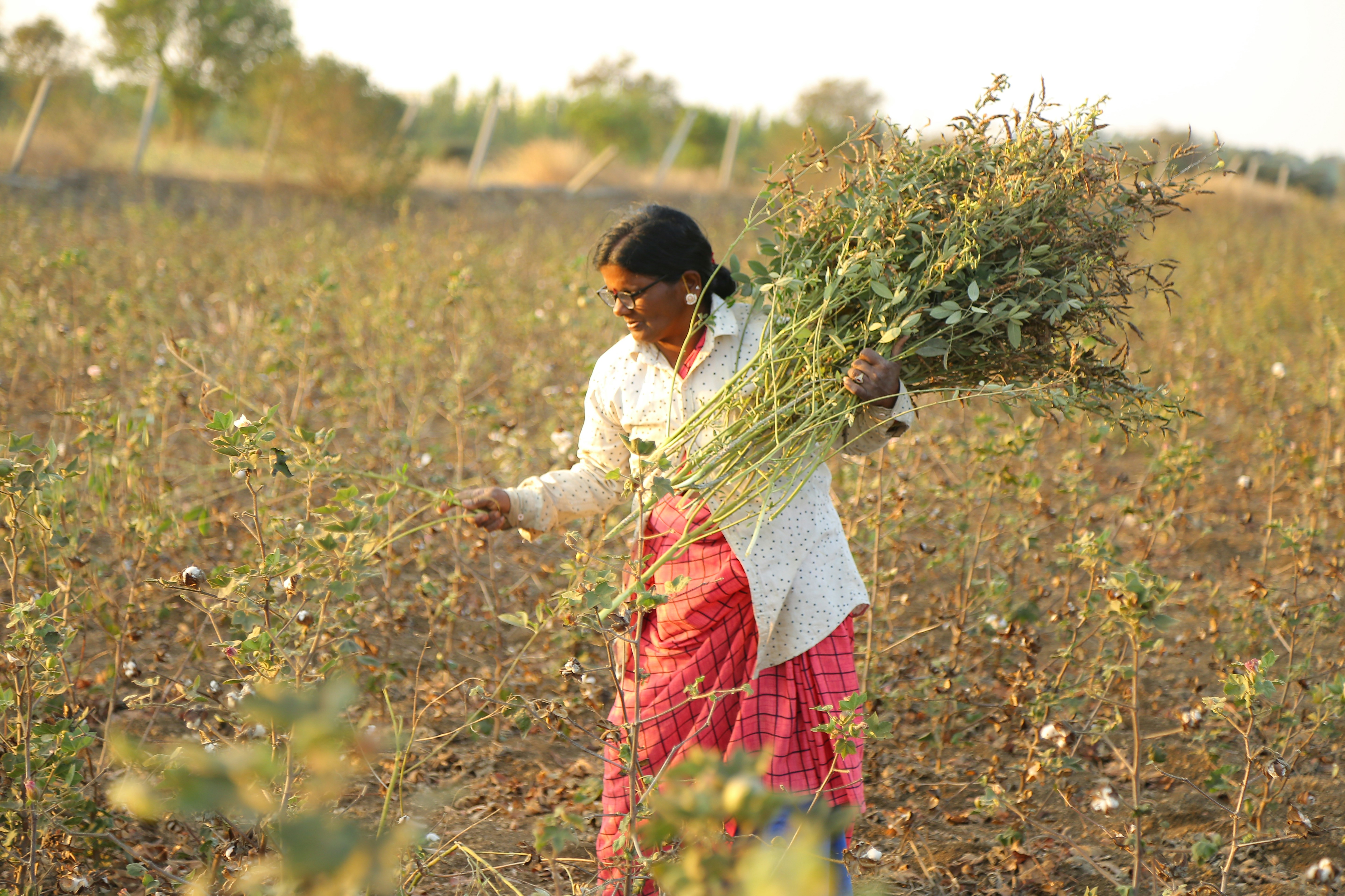a woman standing in a field holding a bundle of plants