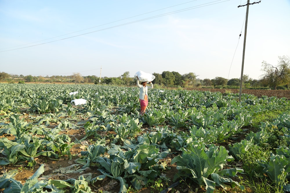 a woman standing in a field of green vegetables