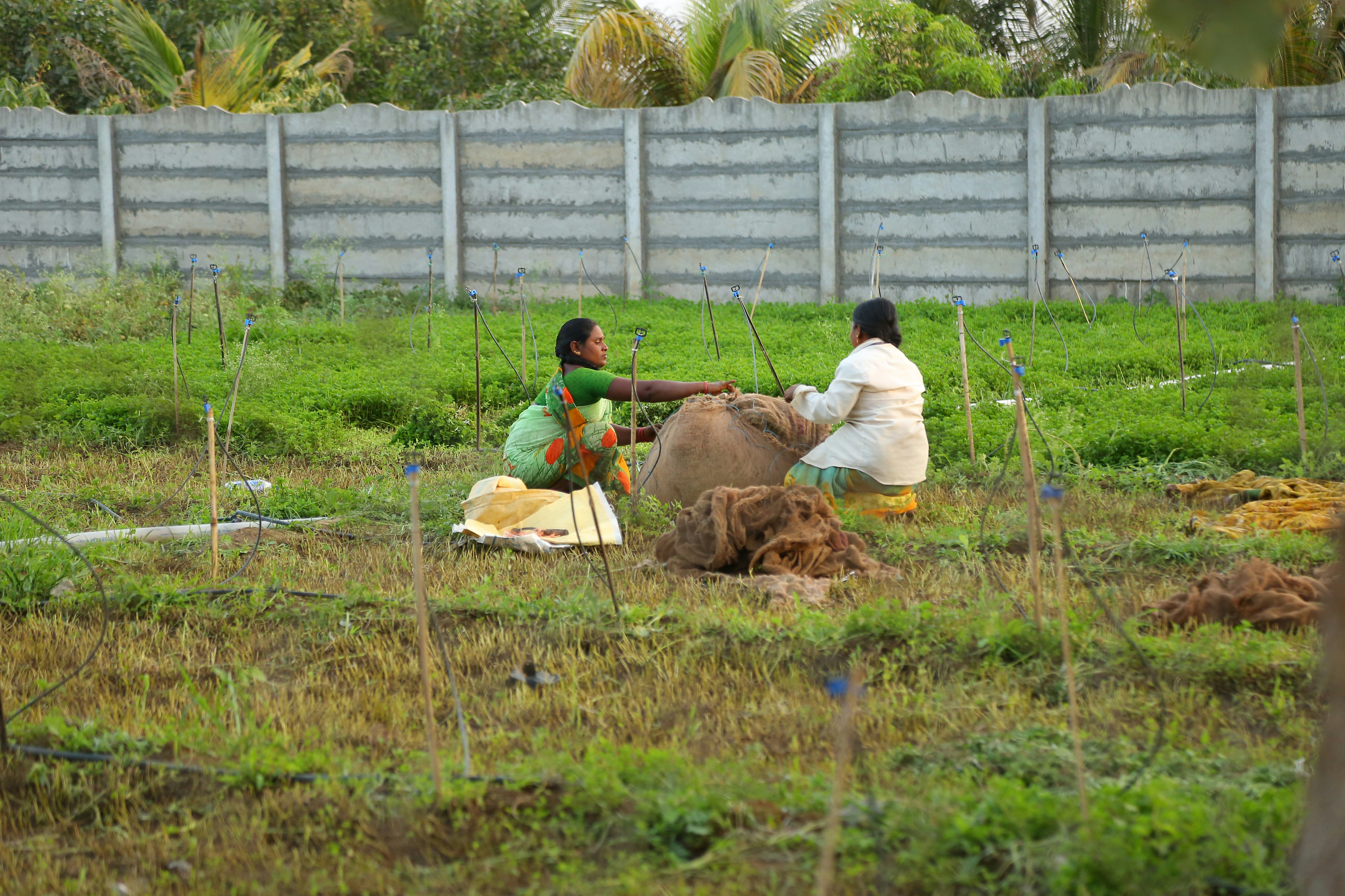 a couple of people that are sitting in the grass