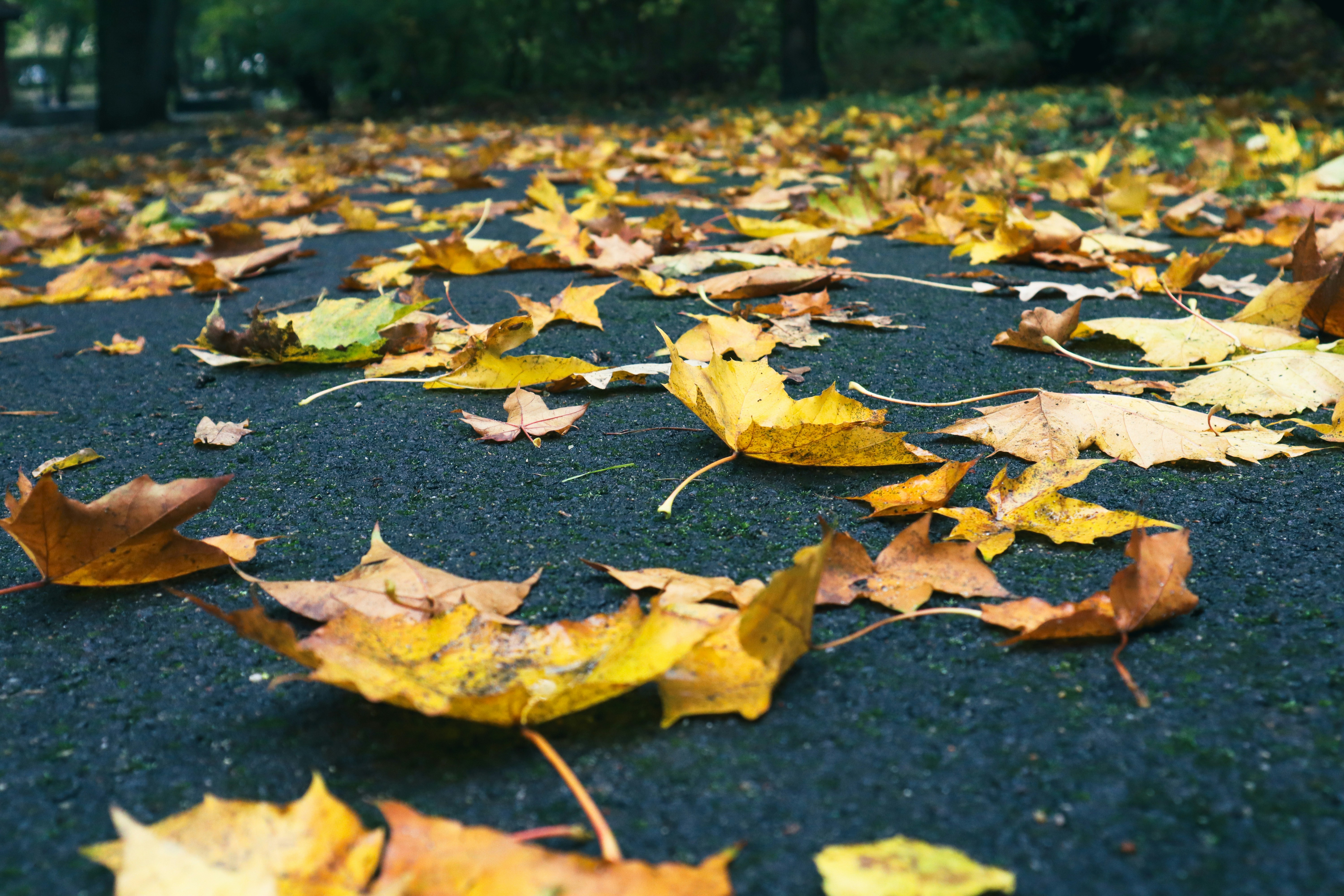 Photo by mugabo_library