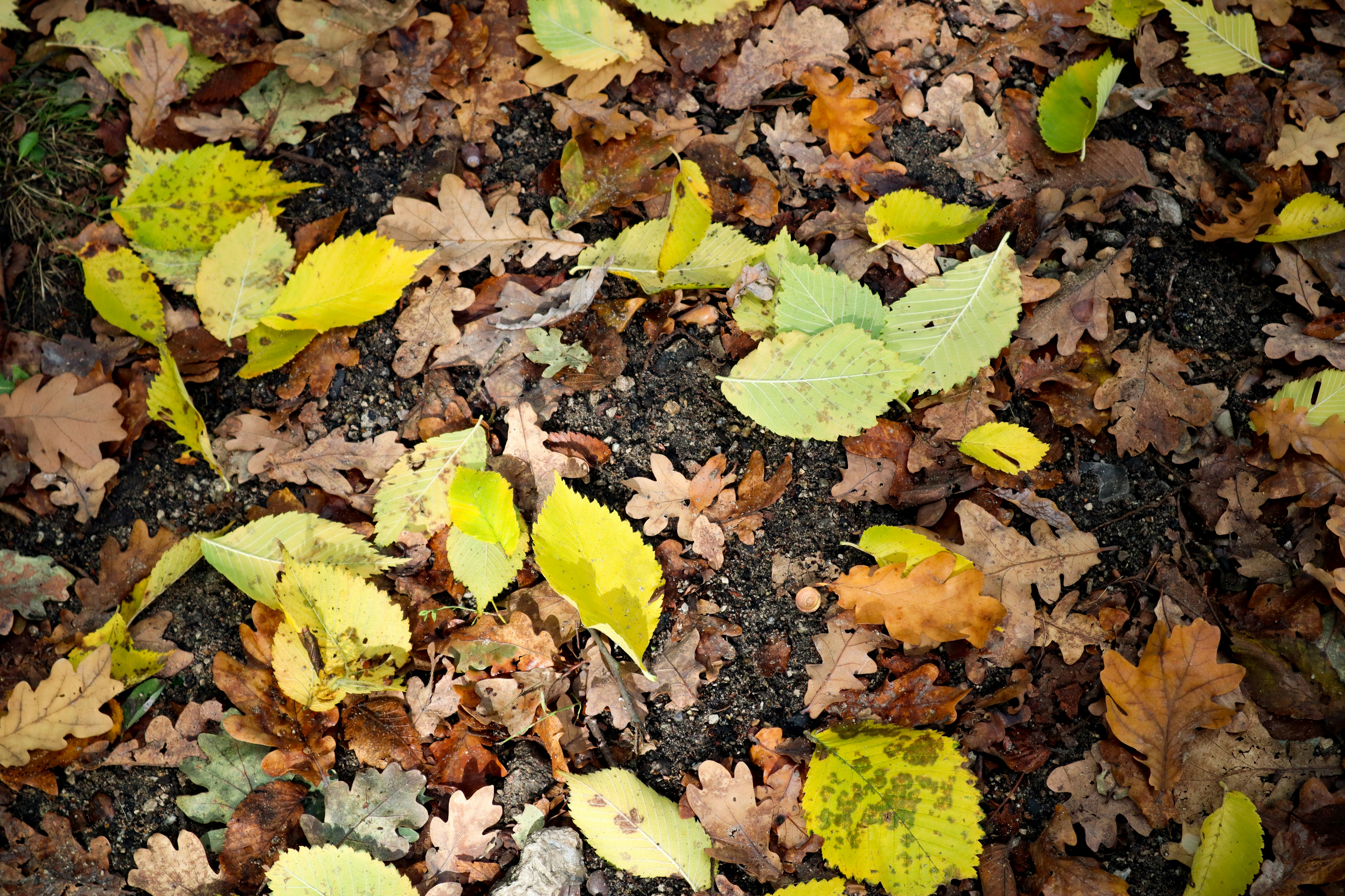 Photo by mugabo_library