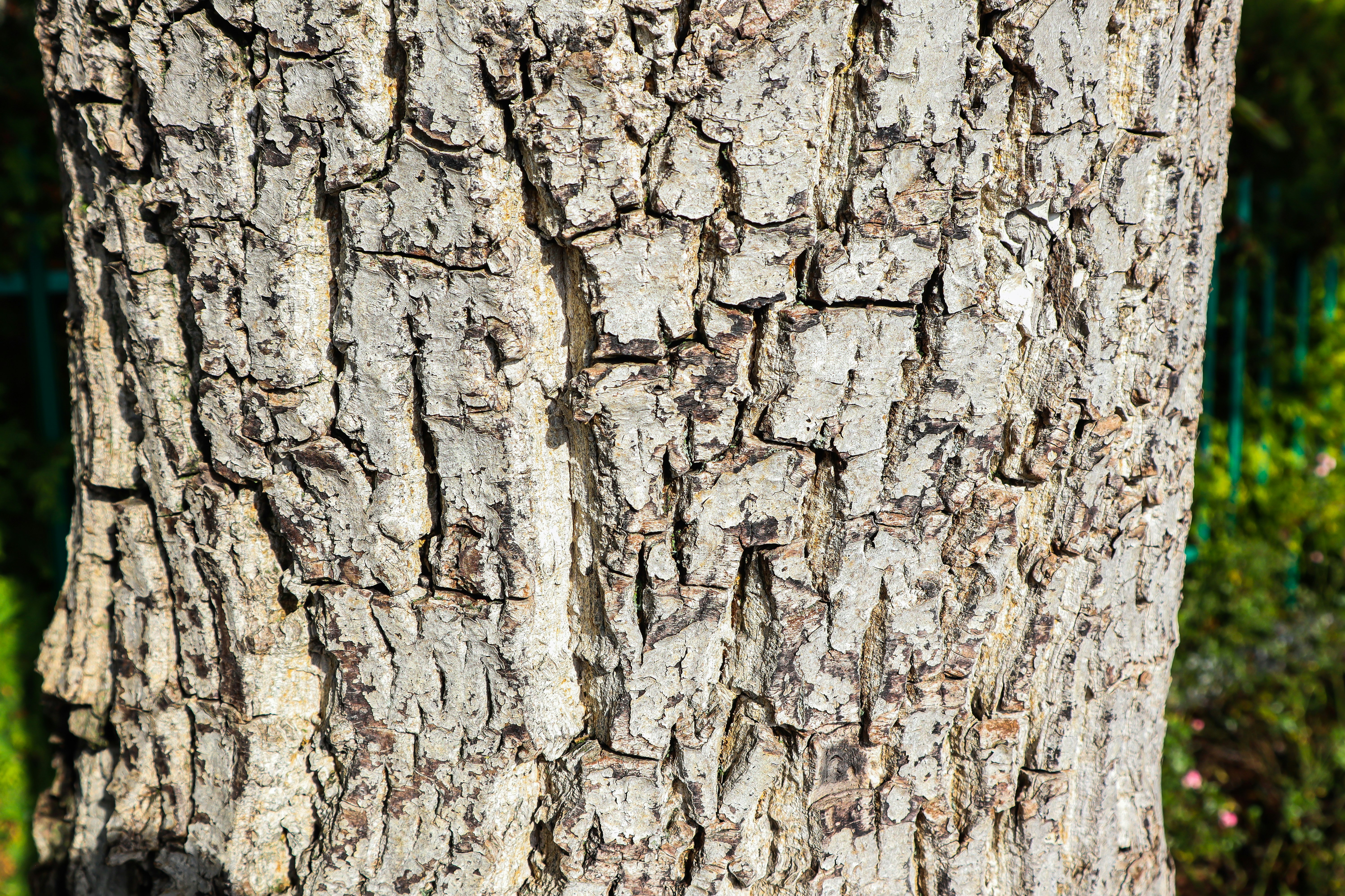 Photo by mugabo_library