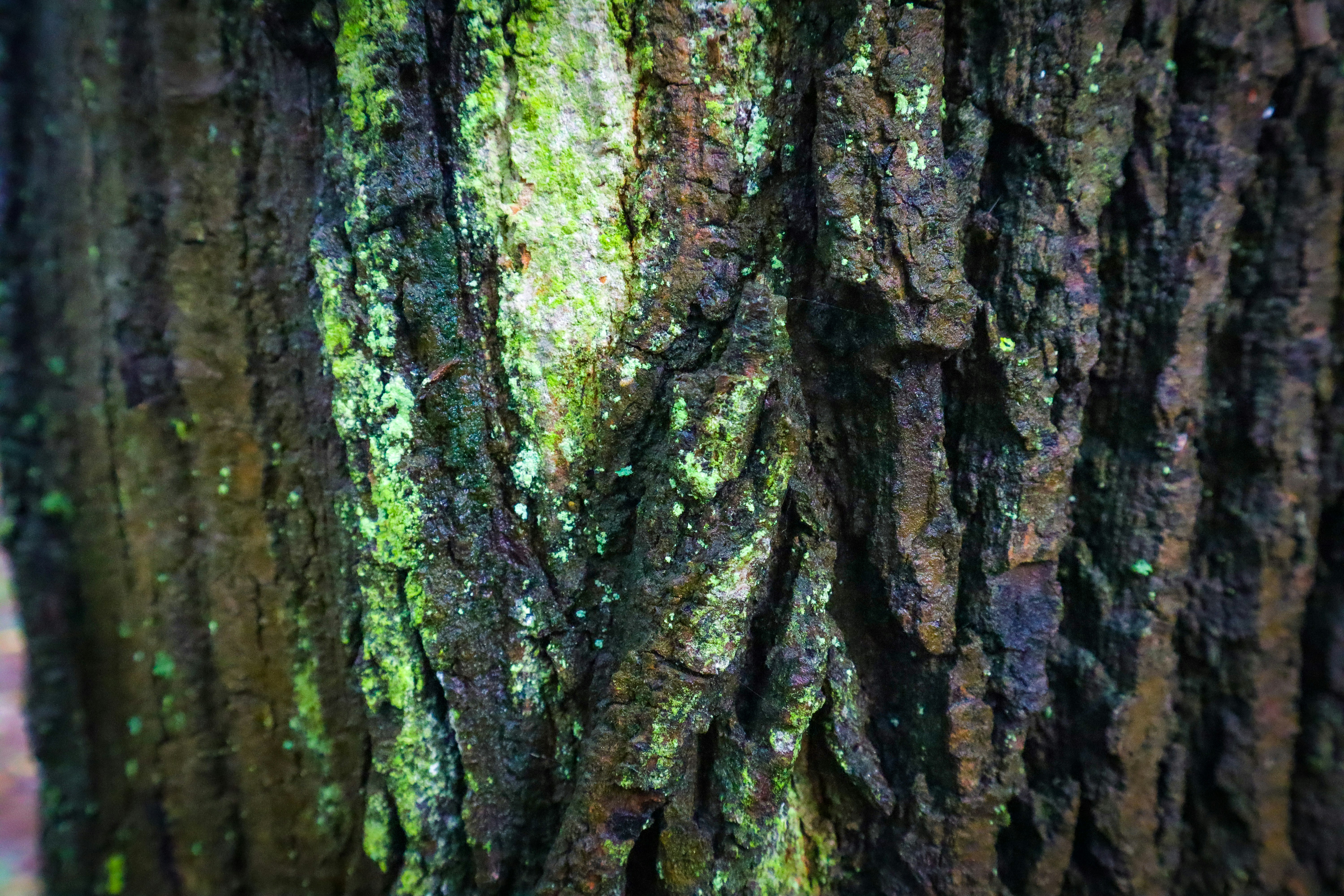 Photo by mugabo_library