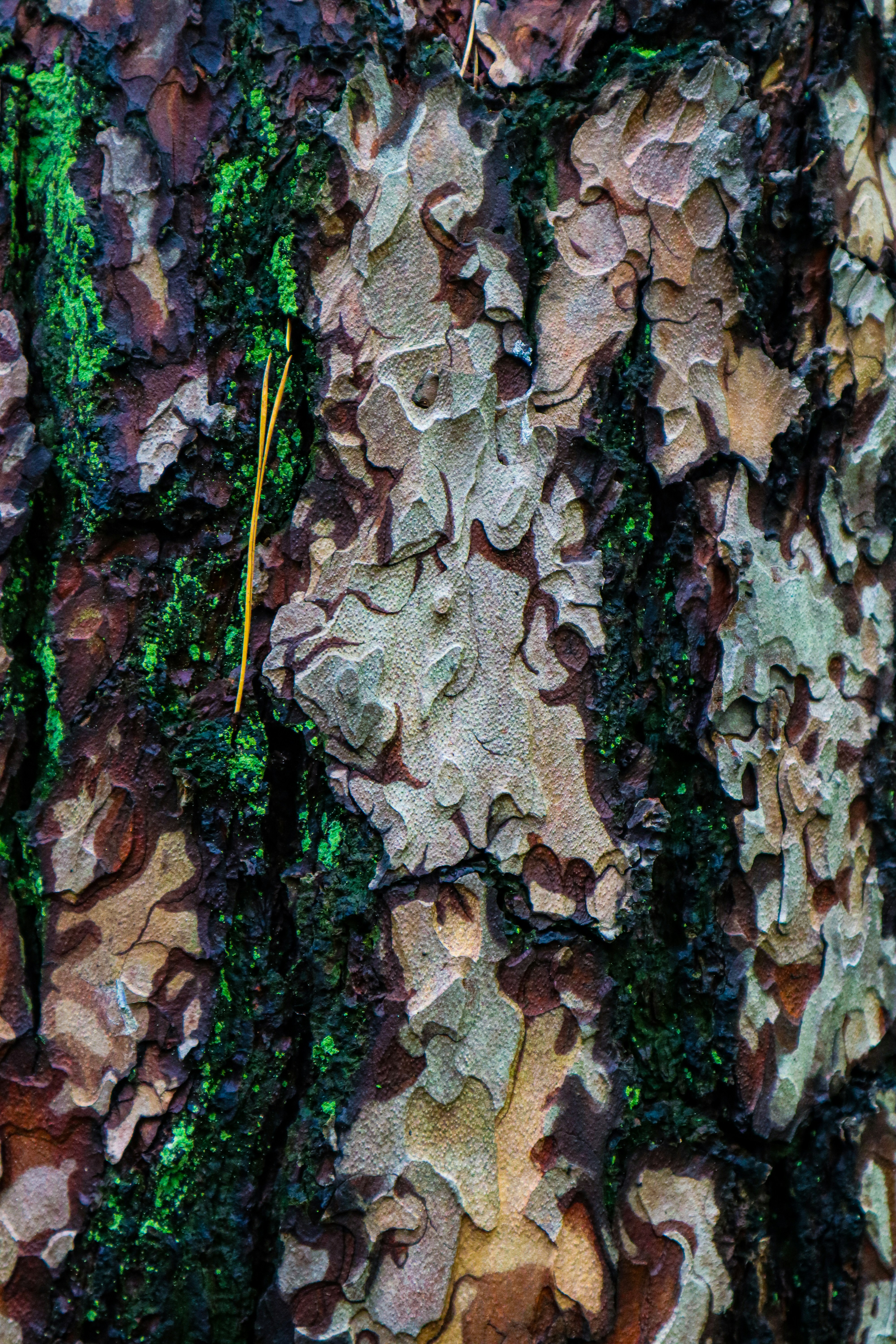 Photo by mugabo_library