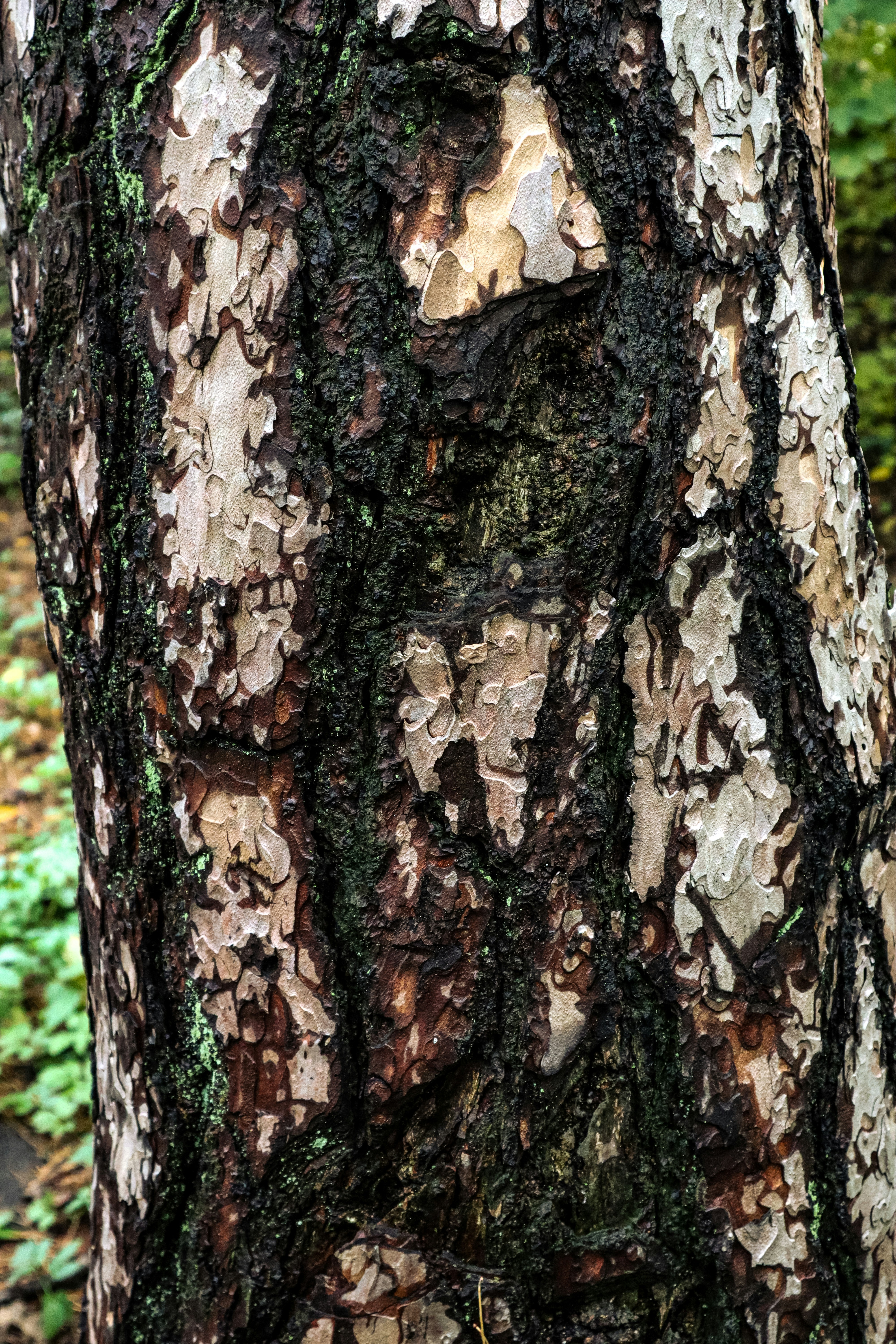 Photo by mugabo_library